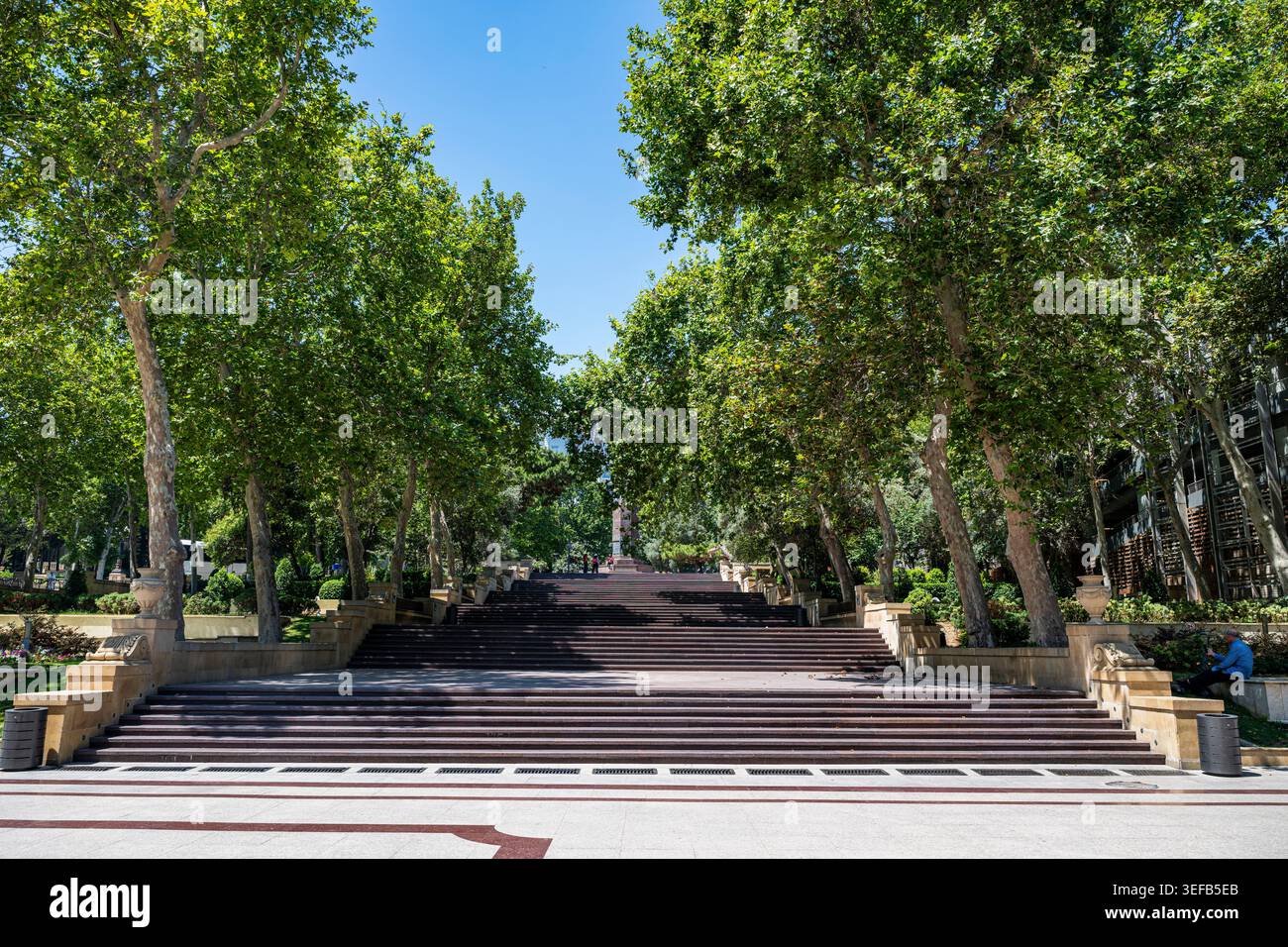 I gradini conducono attraverso gli alberi in un parco soleggiato a Baku Azerbaijan durante una giornata limpida Foto Stock