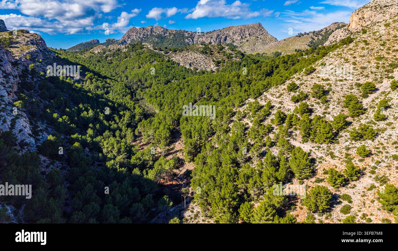 Valli e vegetazione che circondano la spiaggia di Murta sulla penisola di Formentor mostrano la bellezza naturale di Maiorca Foto Stock