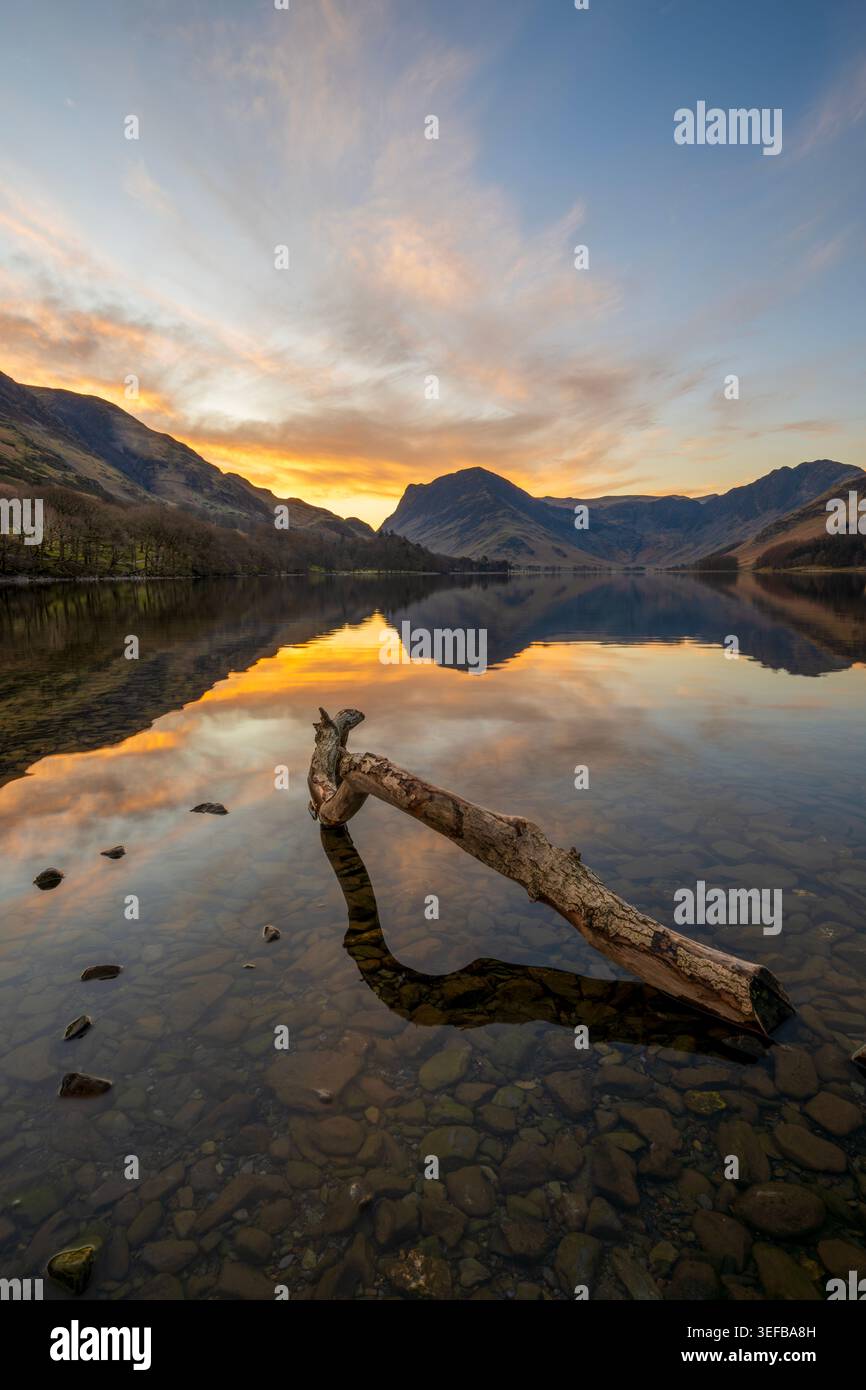 Alba sul lago Buttermere con Fleetwith Pike e un tronco sulla riva, Lake District, Cumbria Foto Stock