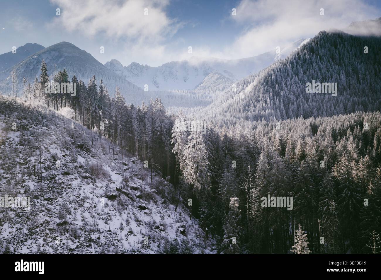 La neve copre abeti e montagne nel paesaggio invernale sopra la Polonia durante le ore diurne Foto Stock