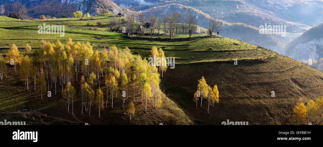 Alberi colorati e paesaggi collinari mostrano la bellezza dell'autunno in Romania Foto Stock