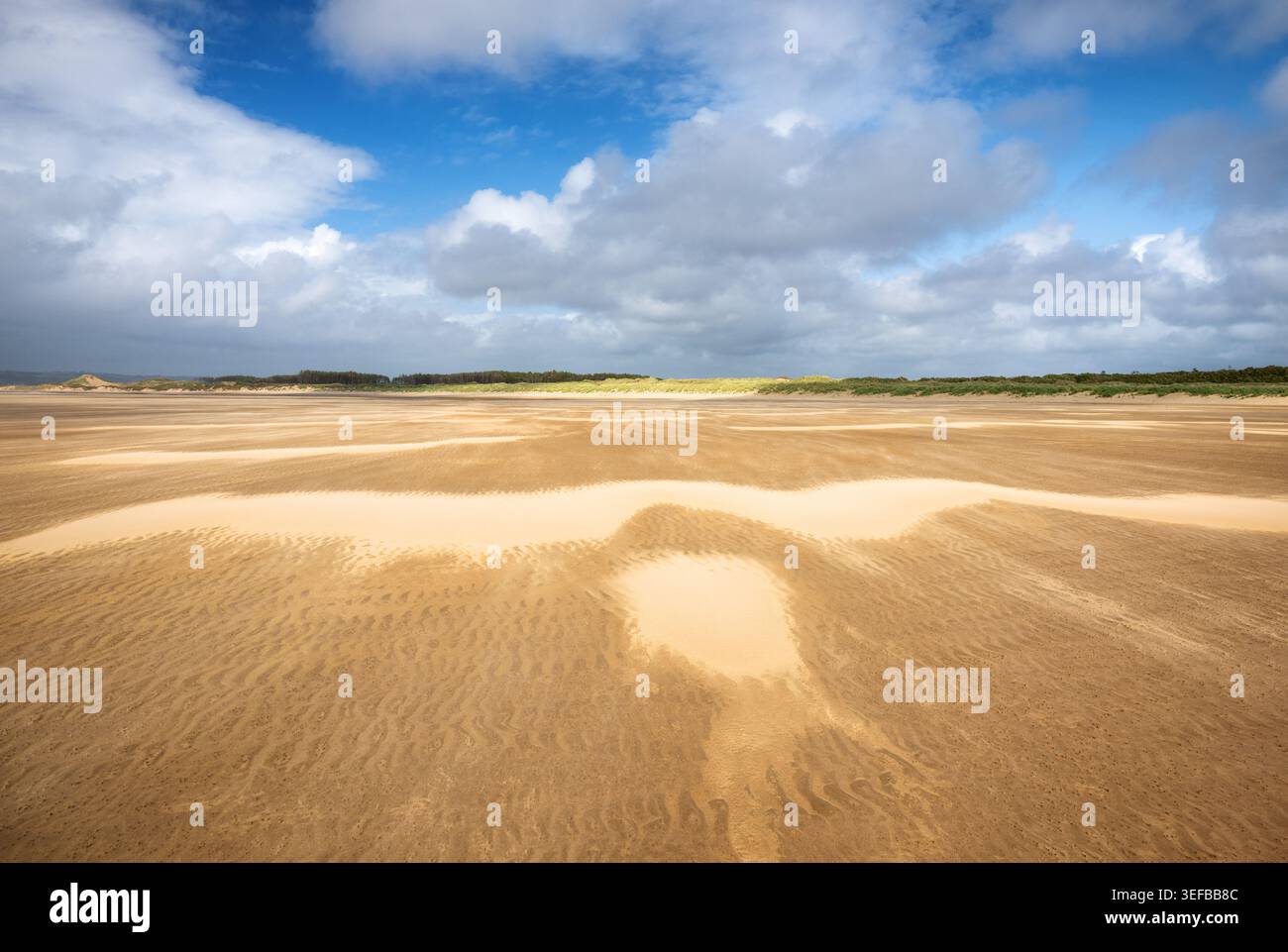 Il forte vento forma motivi di sabbia attraverso Whiteford Sands a Swansea, Galles Foto Stock