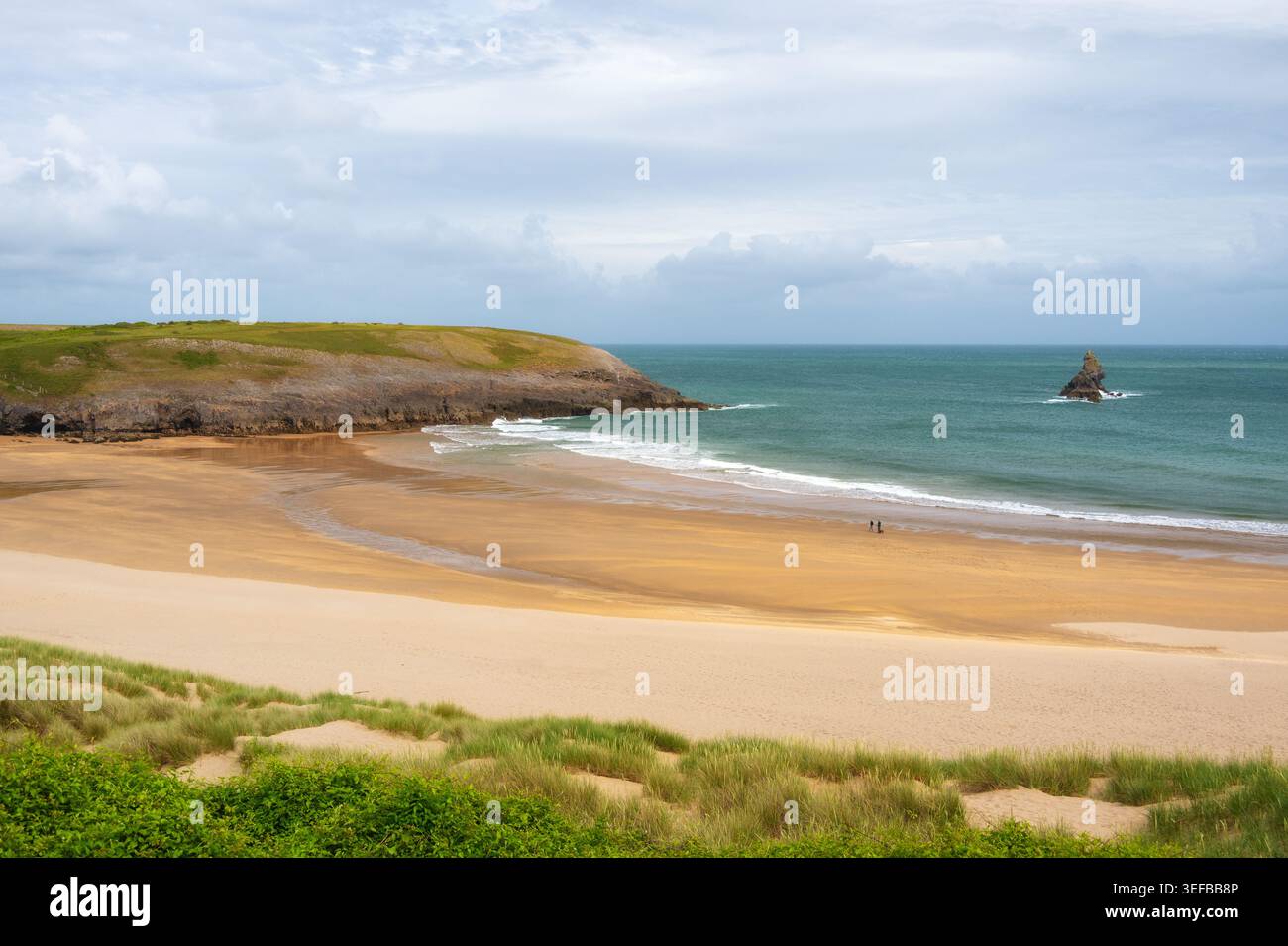 La coppia cammina con il cane passando davanti a Church Rock sulla spiaggia di Broad Haven South nel Pembrokeshire Foto Stock