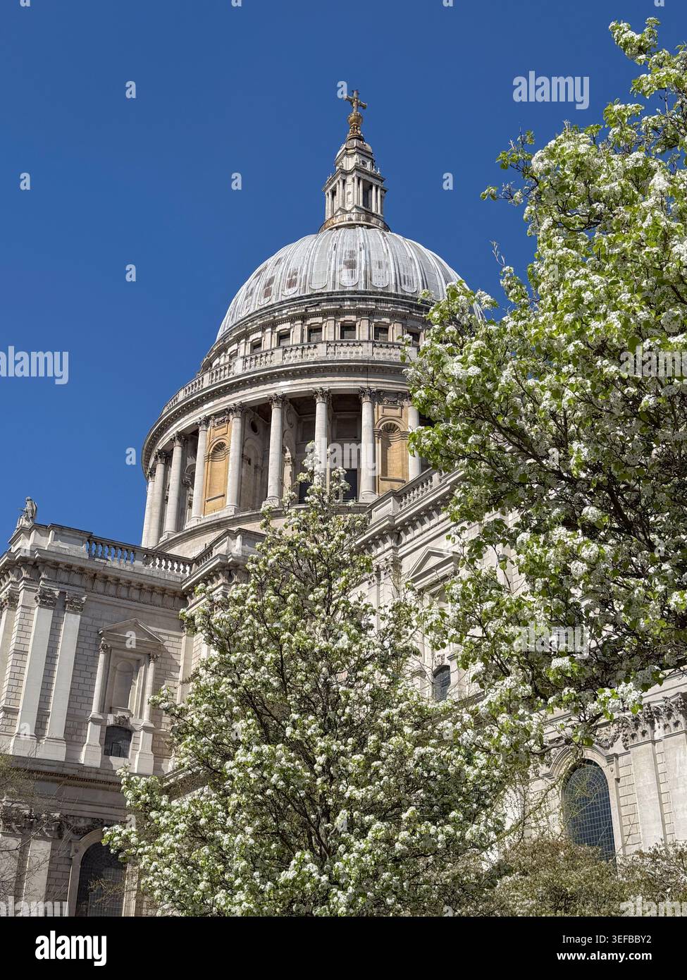 Duomo della Cattedrale di San Paolo vista attraverso gli alberi in una giornata di sole a Londra, Inghilterra Foto Stock