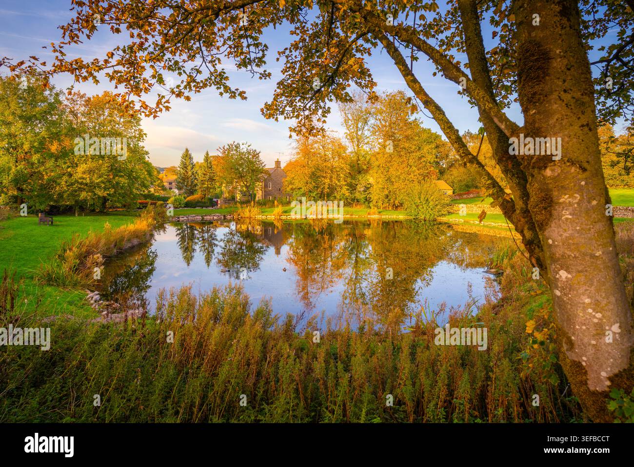 Riflessioni nello stagno del villaggio di Monyash durante l'autunno nel Derbyshire Peak District, Inghilterra Foto Stock