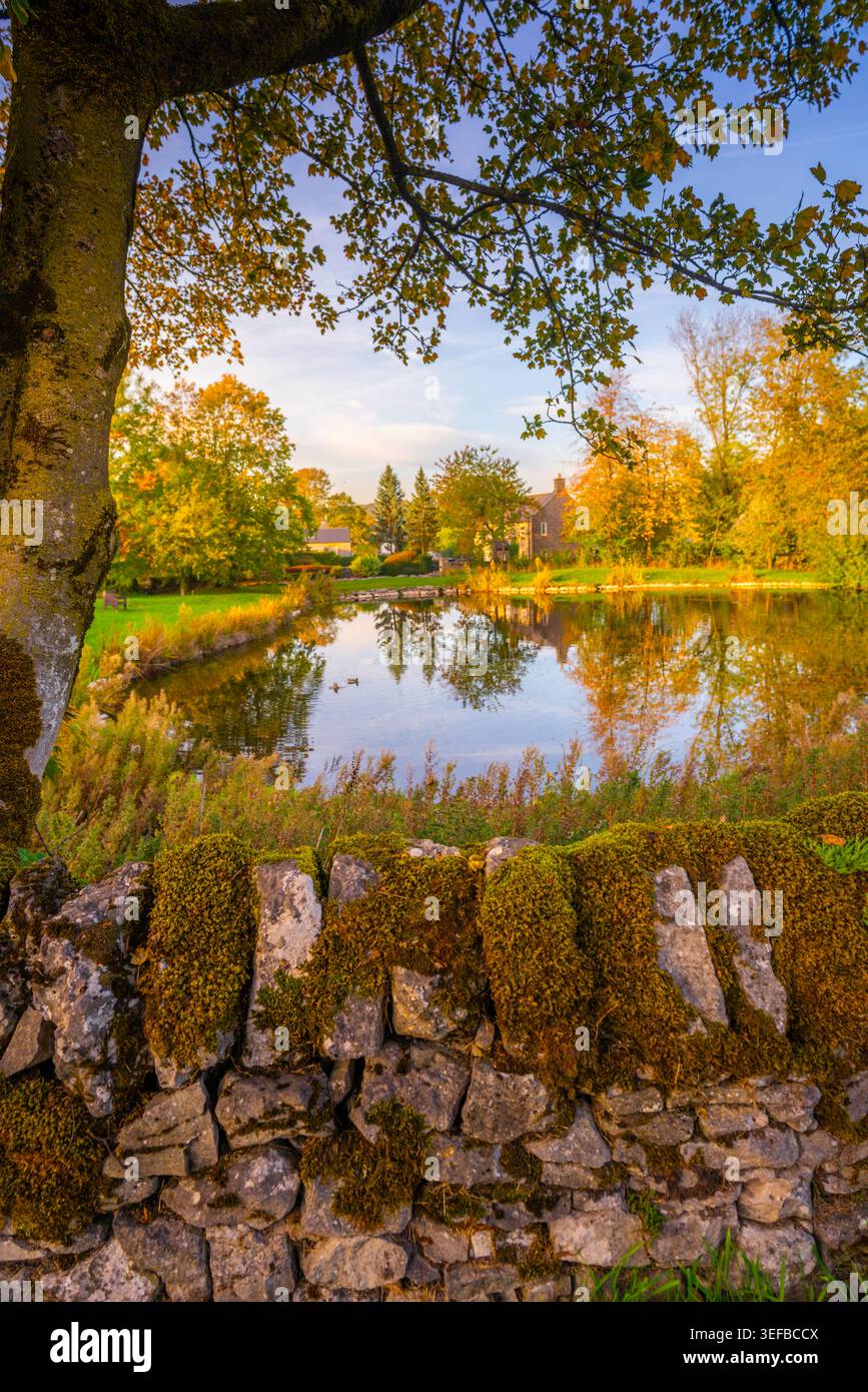 Riflessioni nello stagno del villaggio durante l'autunno a Monyash nel Bakewell Derbyshire Peak District in Inghilterra Foto Stock