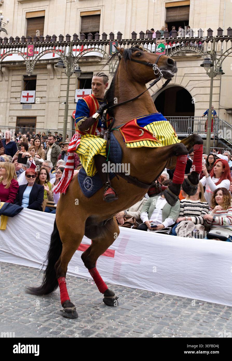 Moros y Cristianos Festival, cavaliere su cavallo da allevamento, Alcoy Spagna Foto Stock