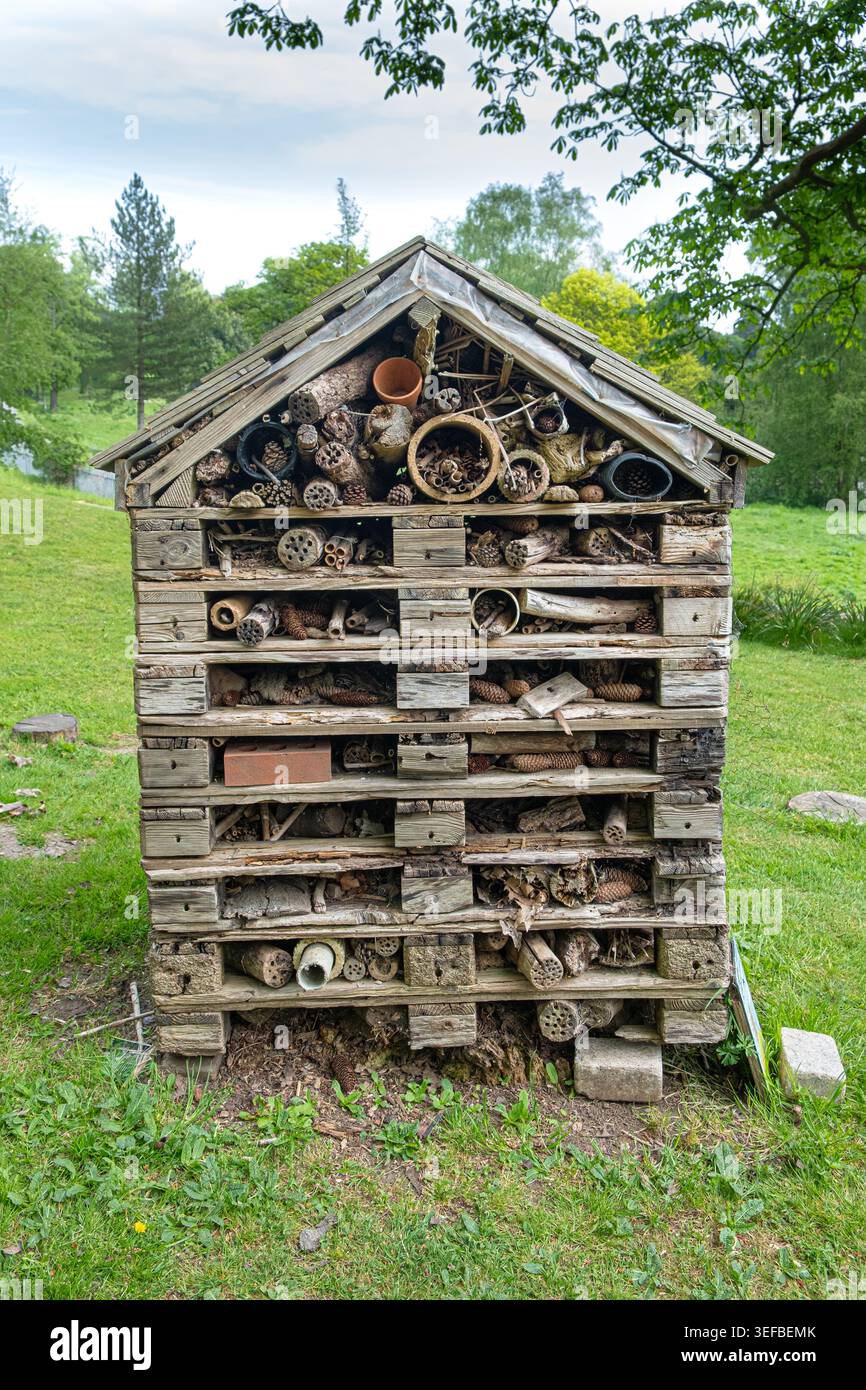 Un hotel di insetti fatto a mano costruito con legno intempestivo, pinne e steli cavi sorge in un Singleton Park Swansea sotto alberi frondosi d'estate. Foto Stock