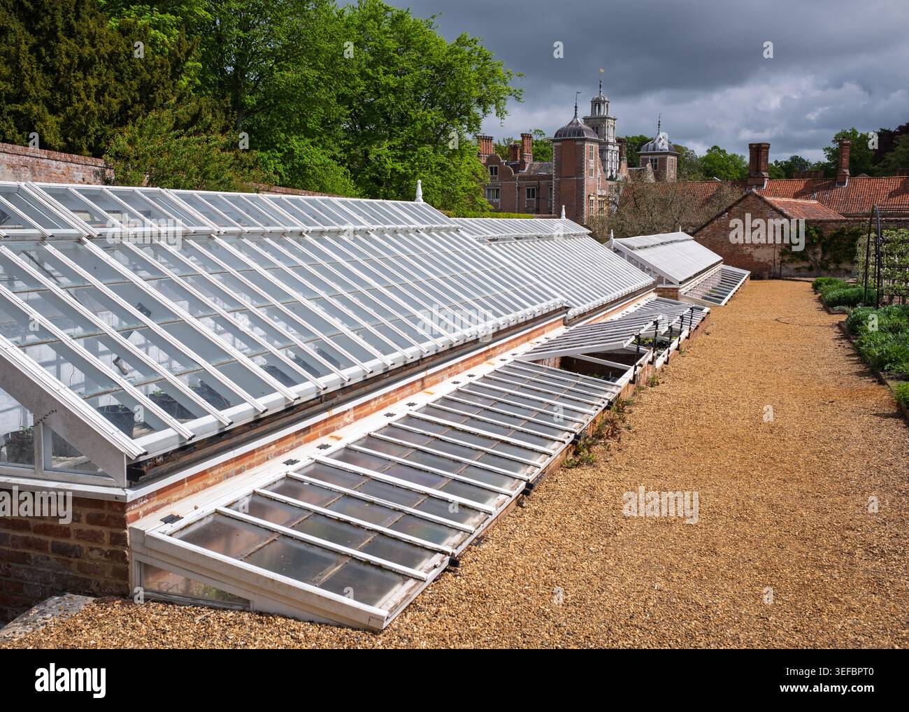 Una lunga e tradizionale serra di vetro vittoriana costruita contro un muro di mattoni nel giardino murato di Blickling Estate, Norfolk, Inghilterra Foto Stock
