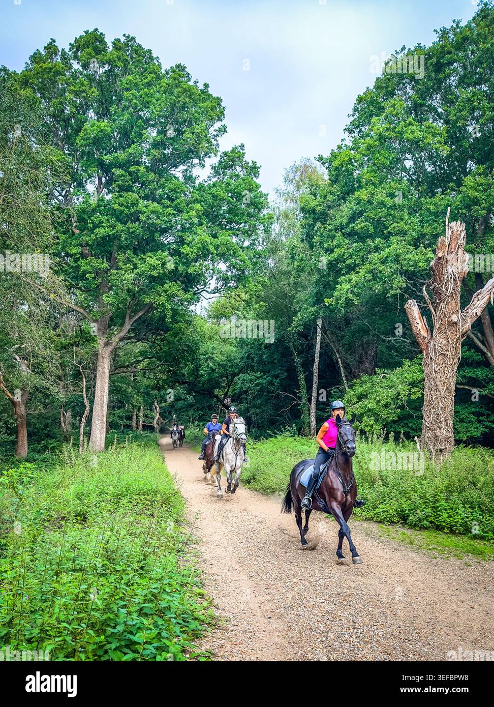 Londra, Inghilterra, 9 agosto 2025, veduta di alcuni cavalieri a Wimbledon Common in estate Foto Stock