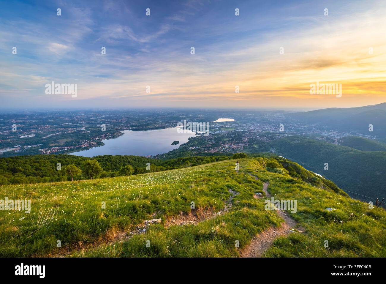 Vista di un tramonto primaverile sul Monte Pesora con narcisi in piena fioritura. Canzo, distretto di Como, Lombardia, Italia. Foto Stock