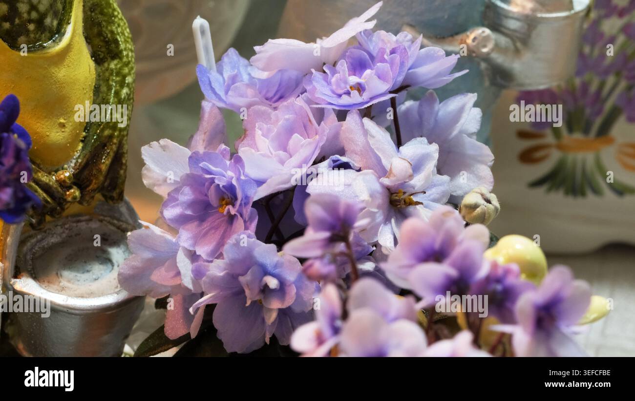 Le delicate viola blu si armonizzano con gli elementi decorativi, creando un ambiente sereno. Foto Stock