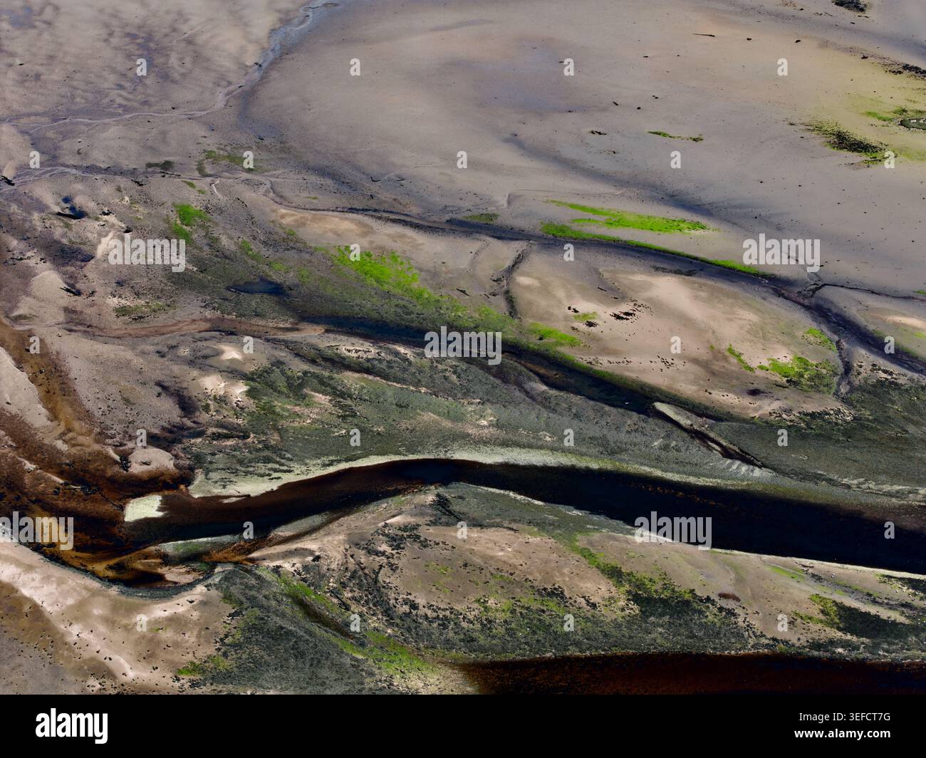 Veduta aerea degli intricati schemi di marea e dei canali d'acqua scura della baia di Findhorn con macchie di alghe verdi sulla sabbia di Findhorn, Scotland, United Foto Stock