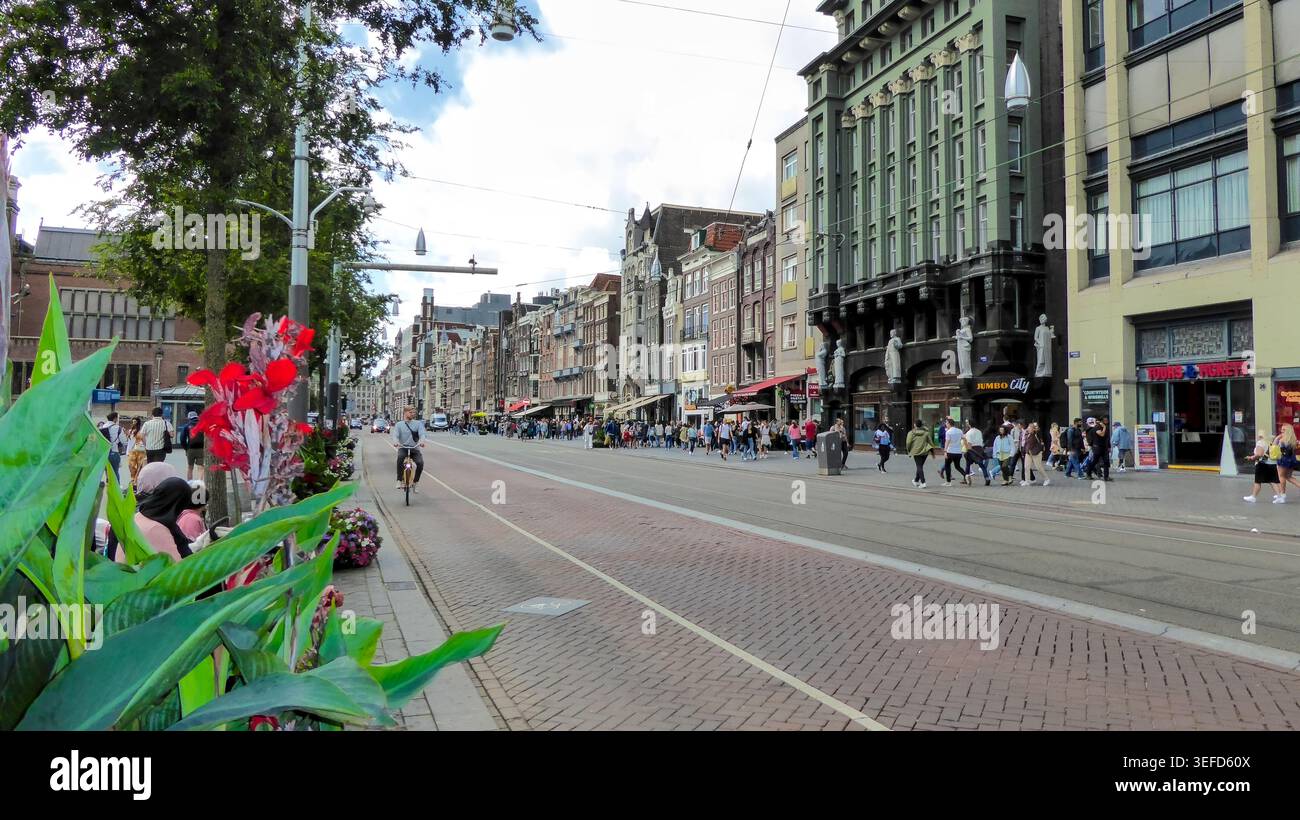 Vivace scena urbana con edifici storici e pedoni ad Amsterdam, Paesi Bassi. Foto Stock