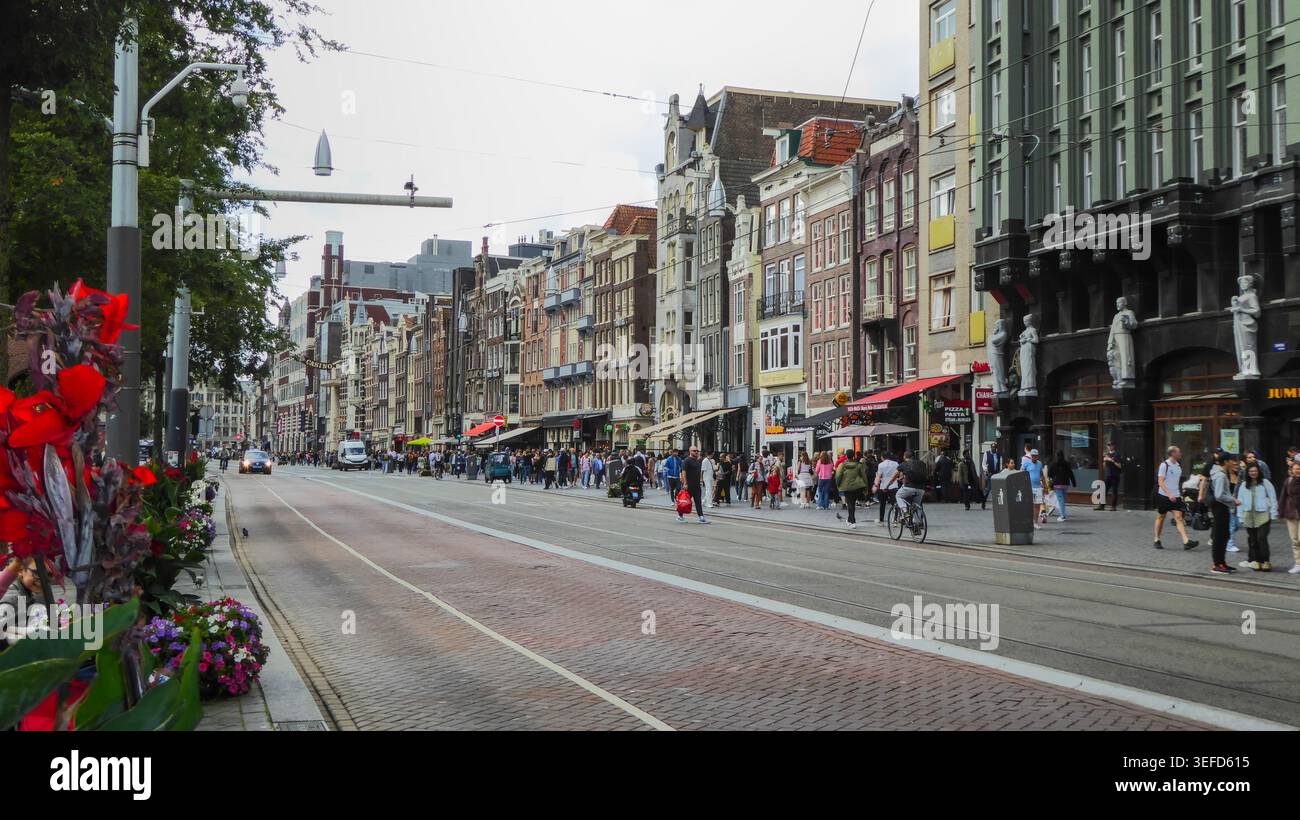 Vivace scena urbana con edifici storici e pedoni ad Amsterdam, Paesi Bassi. Foto Stock