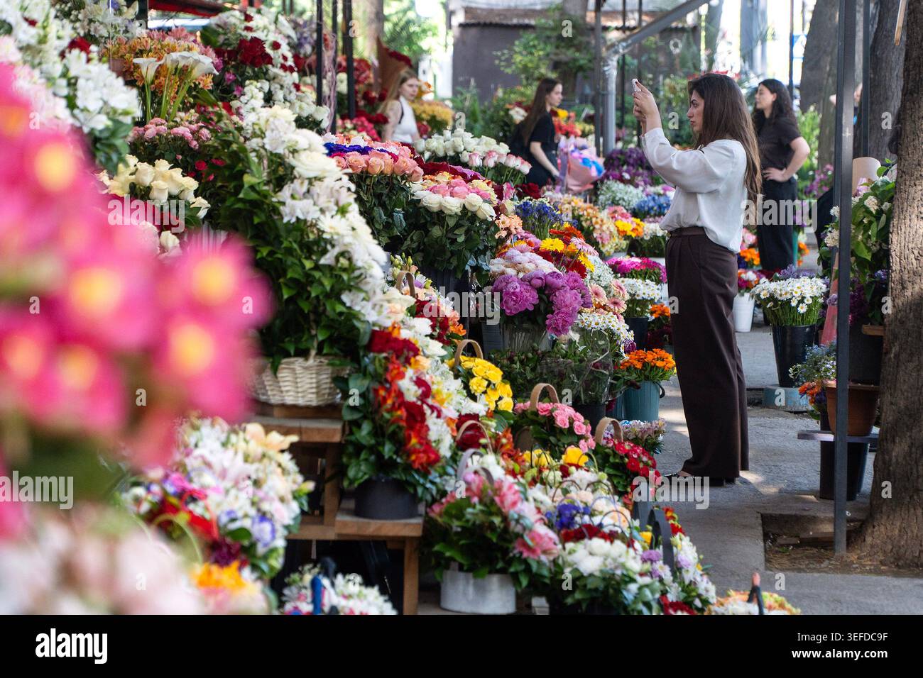 Le persone ammirano le colorate composizioni floreali esposte sugli scaffali di un mercato all'aperto. Foto Stock