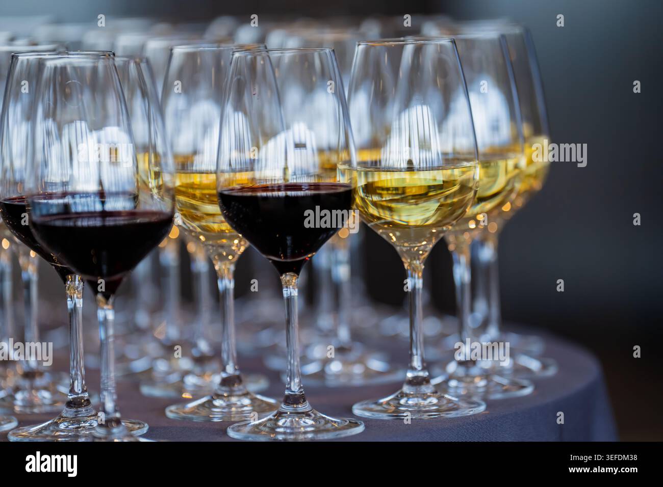 Eleganti calici di cristallo contenenti vini assortiti serviti durante un ricevimento formale o un gala aziendale, che rappresentano un servizio di bevande di alta qualità in una Foto Stock