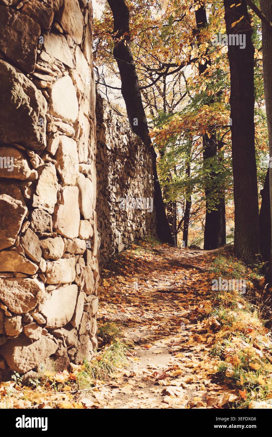 Pareti in pietra che fiancheggiano un sentiero boschivo ricoperto di foglie alla luce dell'autunno, le rovine del vecchio castello di Ksiaz (Stary Ksiaz) a Walbrzych, Polonia Foto Stock