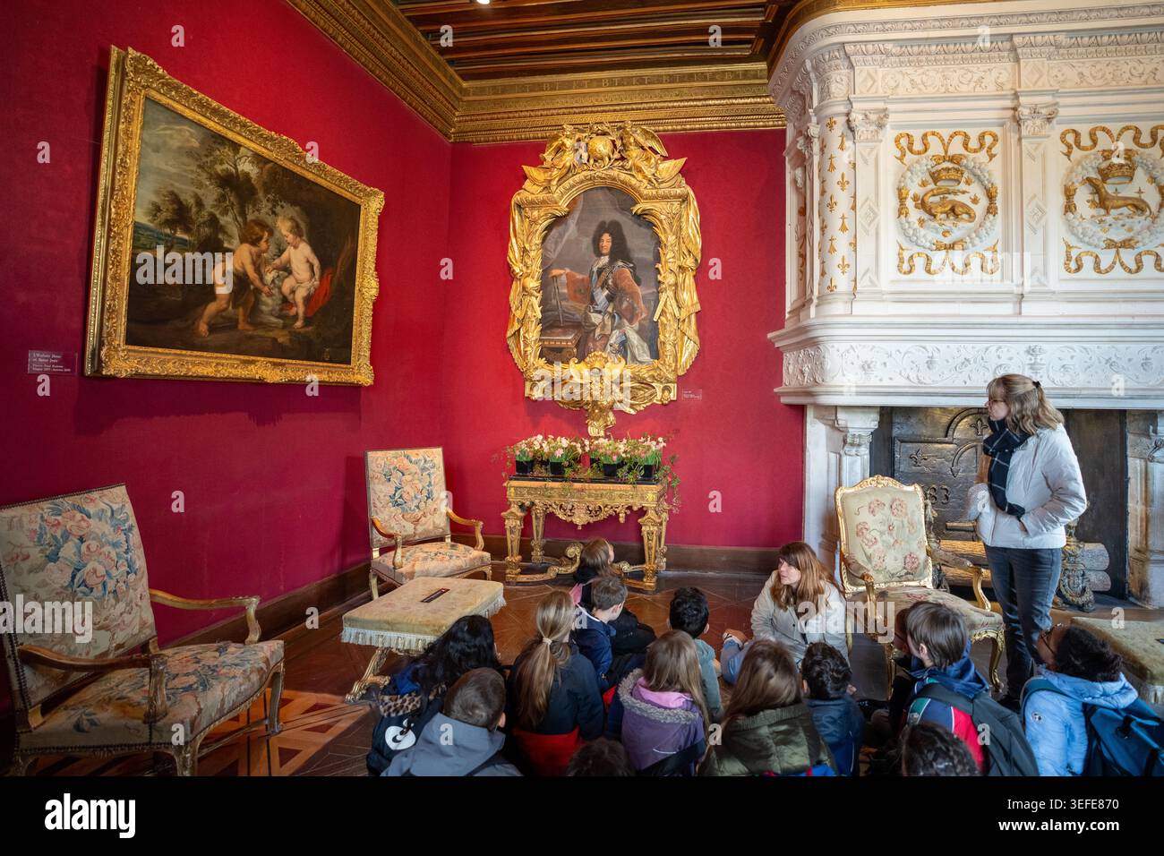 Questa foto cattura un tour all'interno dello spettacolare Salon Louis XIV, situato nello storico Château de Chenonceau nella Valle della Loira in Francia Foto Stock