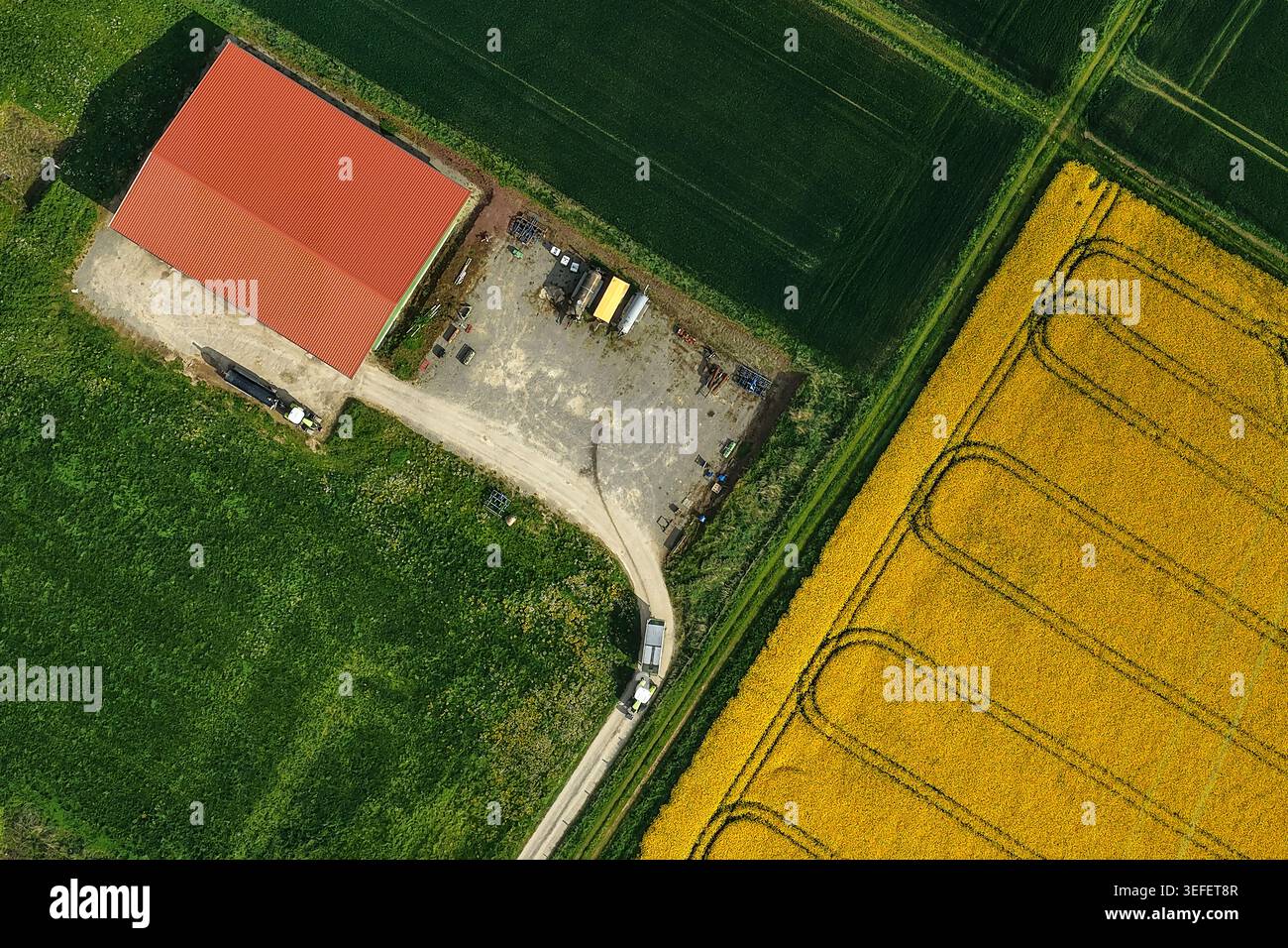 Vista aerea di un edificio agricolo con tetto rosso circondato da vibranti campi agricoli verdi e gialli Hofgeismar, Assia, Germania. Foto Stock