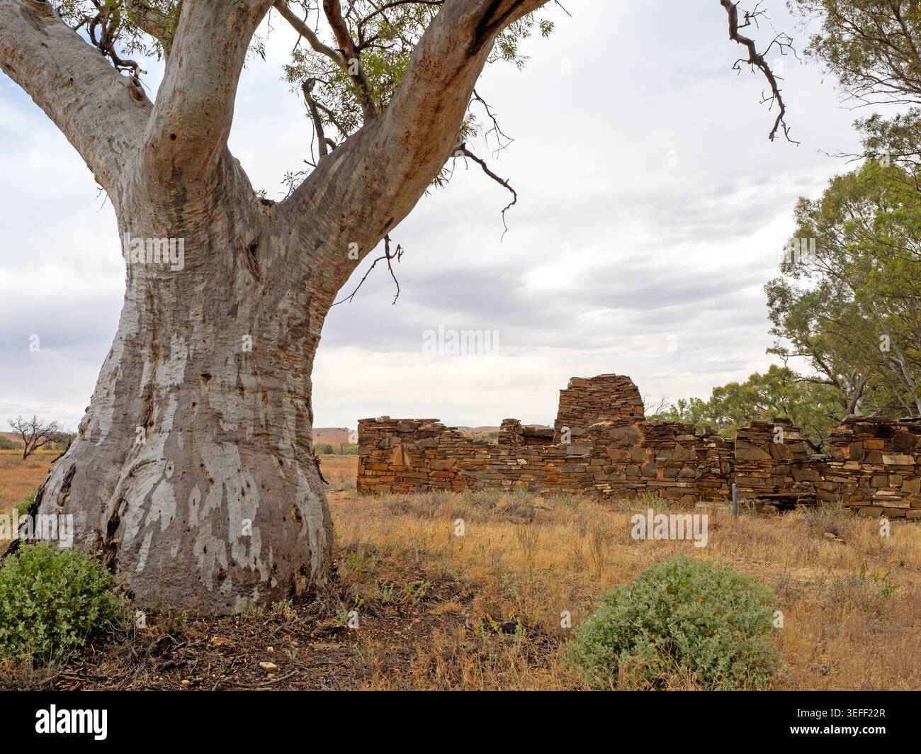Rovine di Appealinna, parco nazionale delle catene Ikara-Flinders Foto Stock