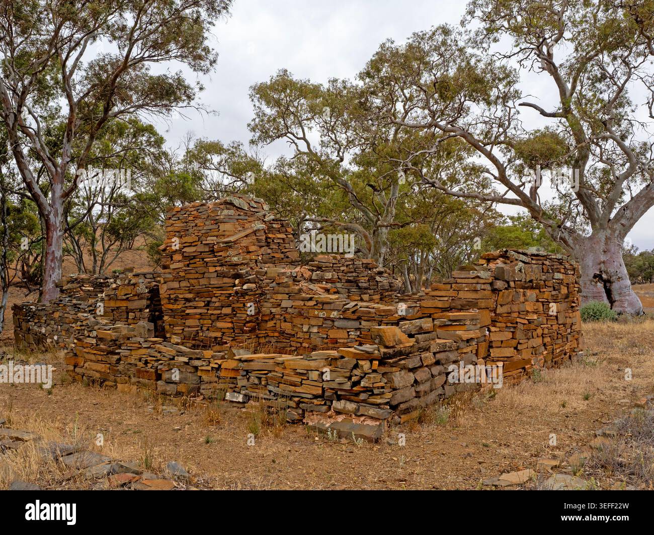 Rovine di Appealinna, parco nazionale delle catene Ikara-Flinders Foto Stock