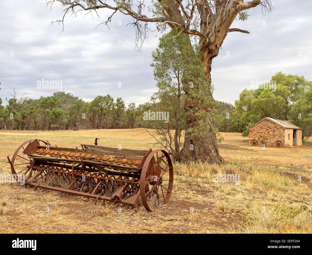 Vecchio edificio agricolo e macchinari alla Old Wilpena Station Foto Stock