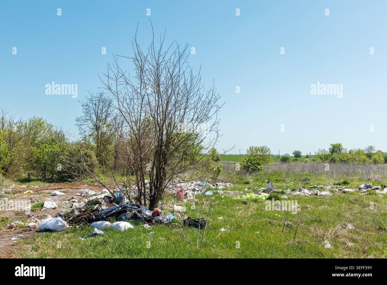 Pile di rifiuti domestici e sacchetti di plastica scaricati illegalmente in un prato verde panoramico sotto un cielo azzurro. Foto Stock