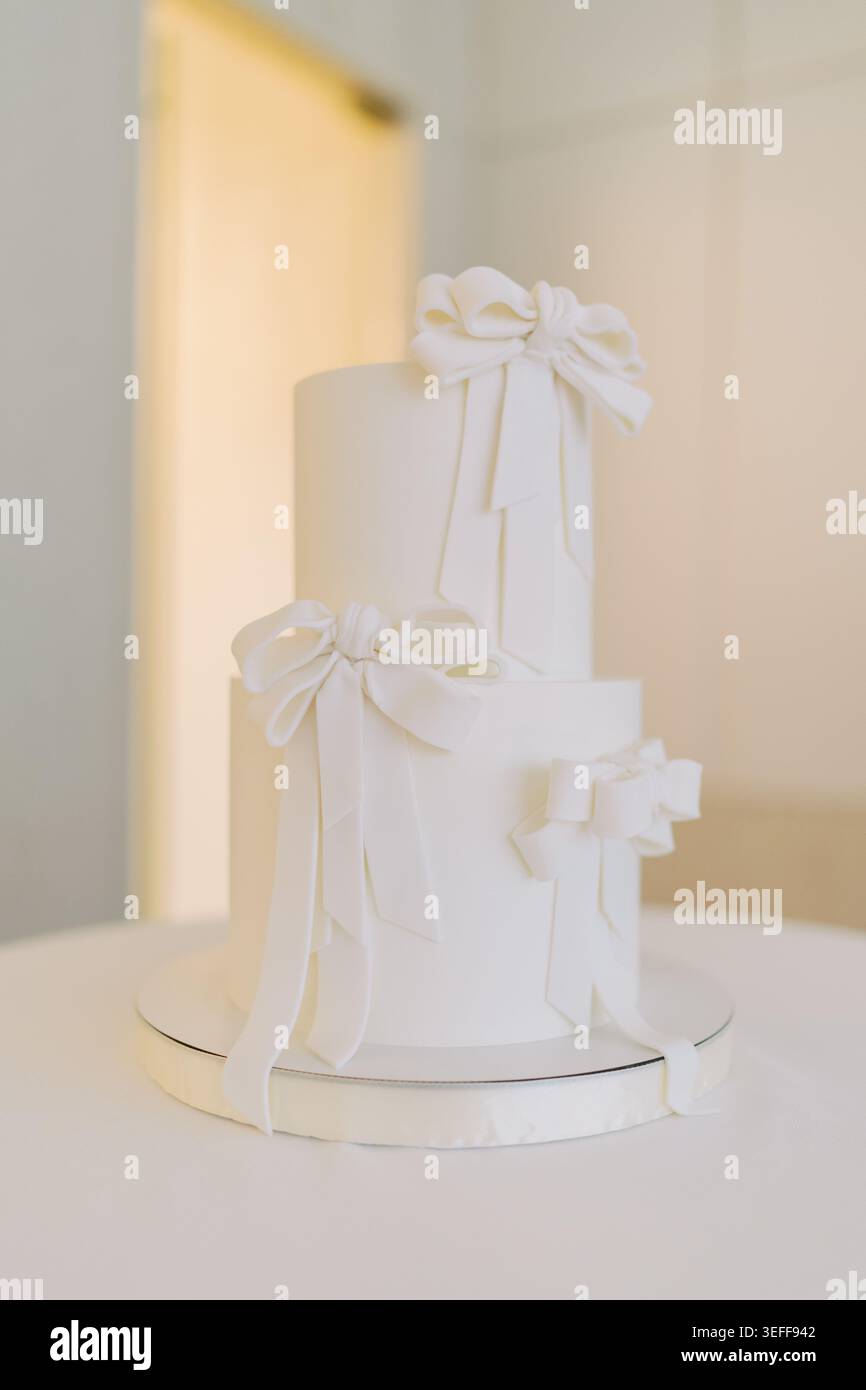 Elegante decorazione per torte. Raffinata torta nuziale minimalista con illuminazione soffusa e glassa liscia Foto Stock
