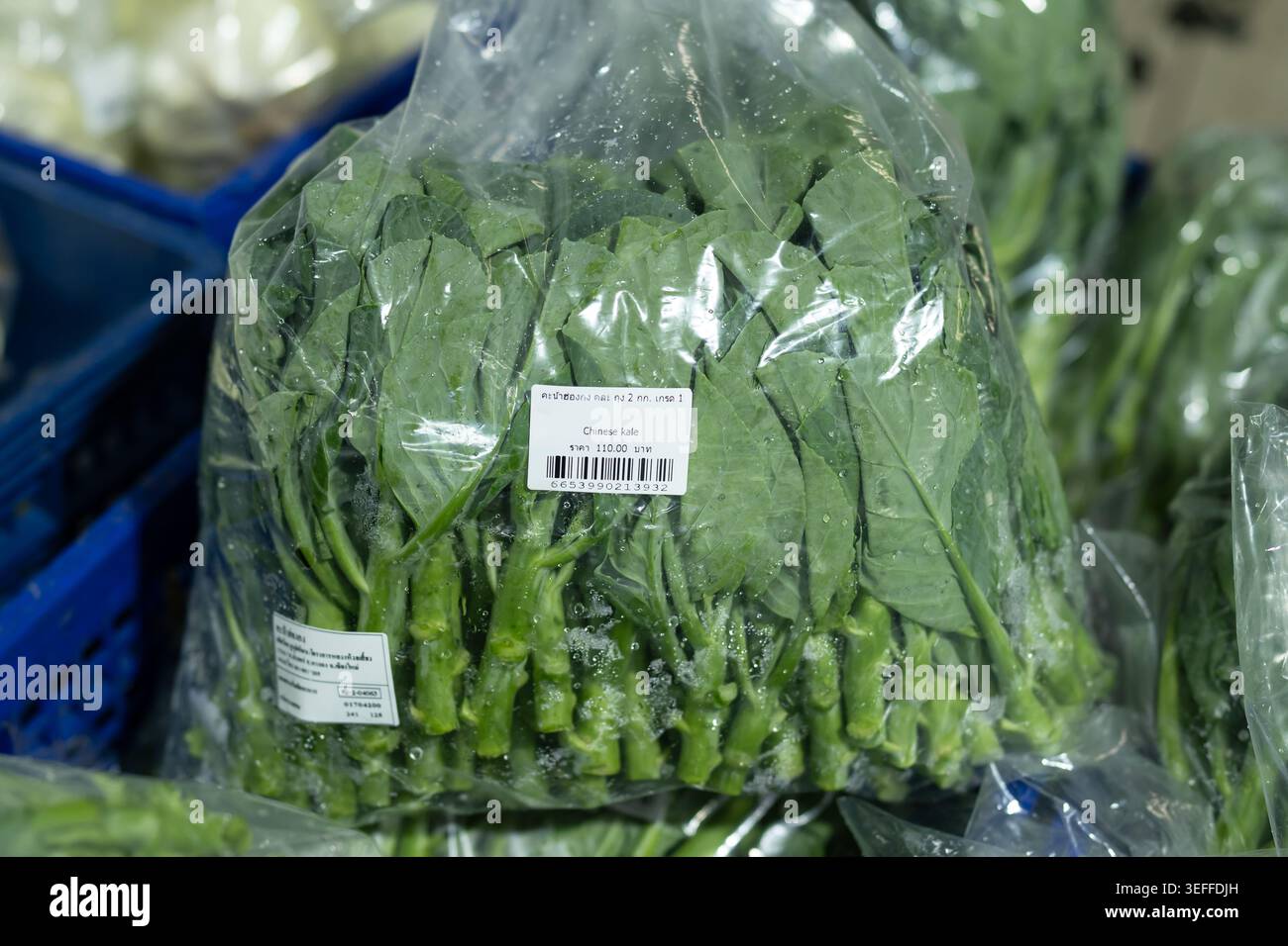 CHIANG mai, THAILANDIA - 9 MAGGIO 2026: Hong Kong Kale (GAI LAN) di alto livello in grandi confezioni sfuse economiche su uno scaffale del supermercato con copia Foto Stock