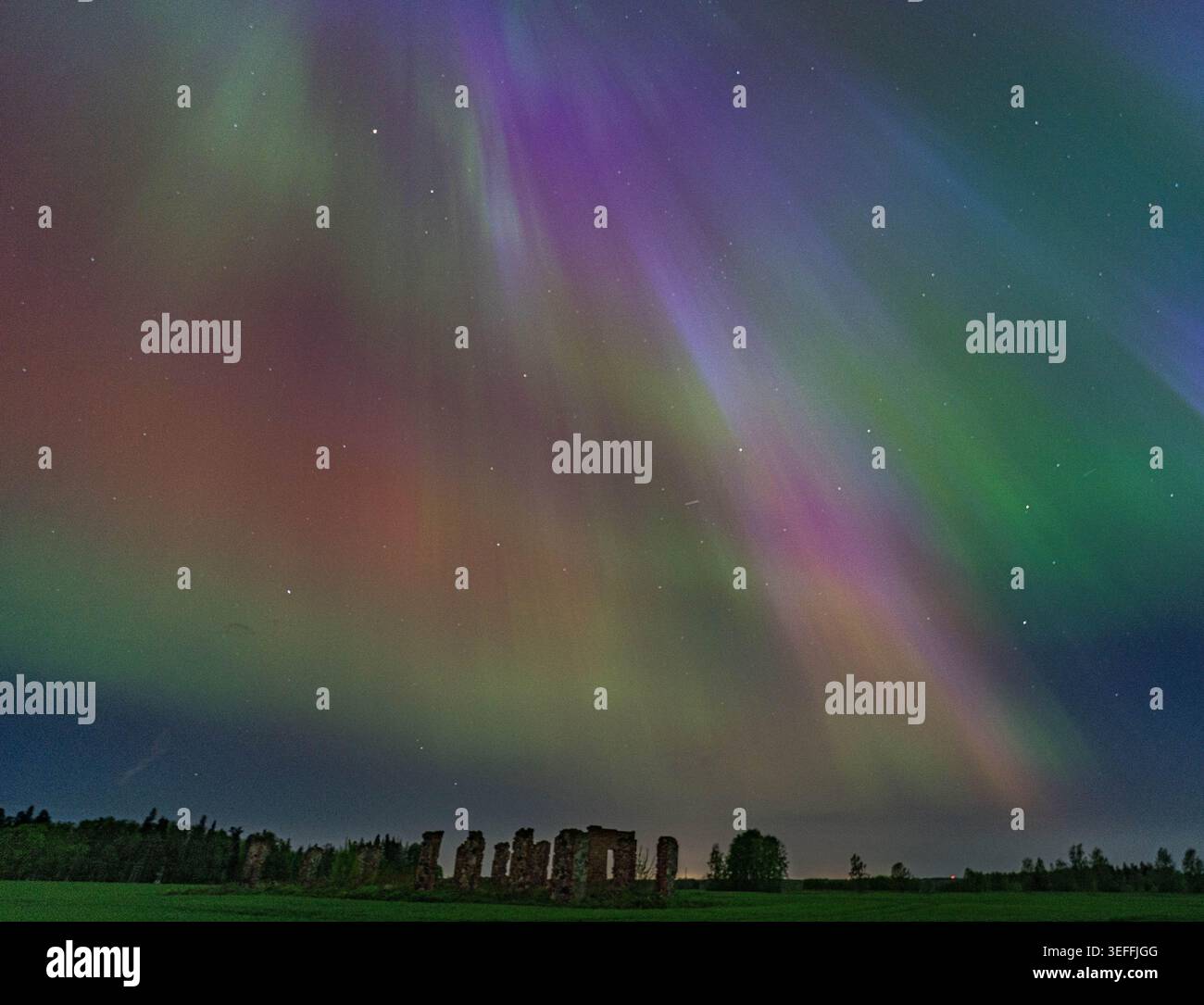 Aurora boreale che riempie il cielo sopra le rovine di un vecchio maniero a Krimulda, Lettonia Foto Stock