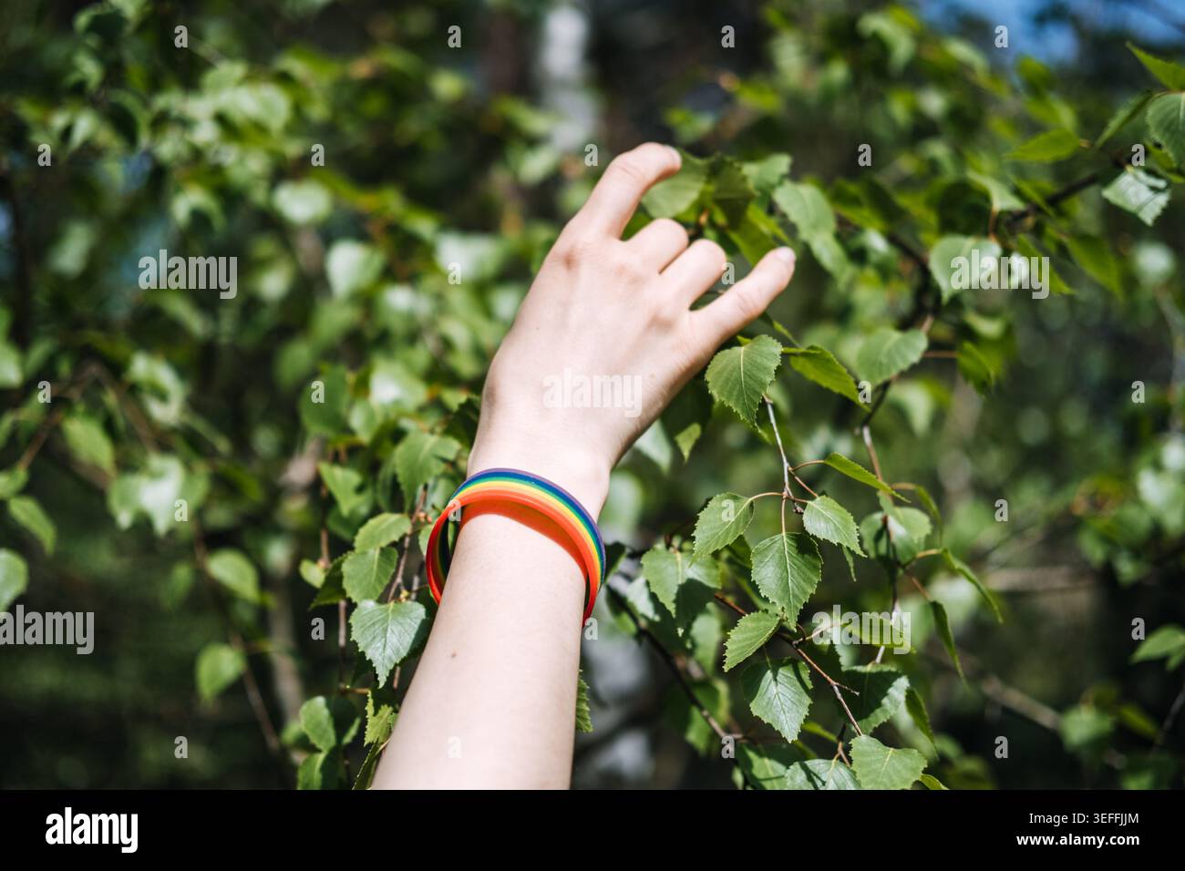 Indossando il braccialetto arcobaleno, si arriva verso le foglie di betulla verde nella foresta. Organizzazione per i diritti umani, volontariato per la causa LGBTQ, sostegno alla comunità Foto Stock