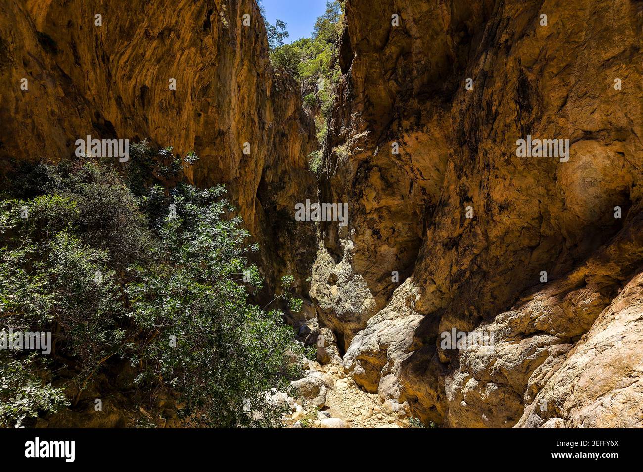La luce del sole colpisce le ripide pareti calcaree della Gola di Sarakina a Creta, Grecia Foto Stock