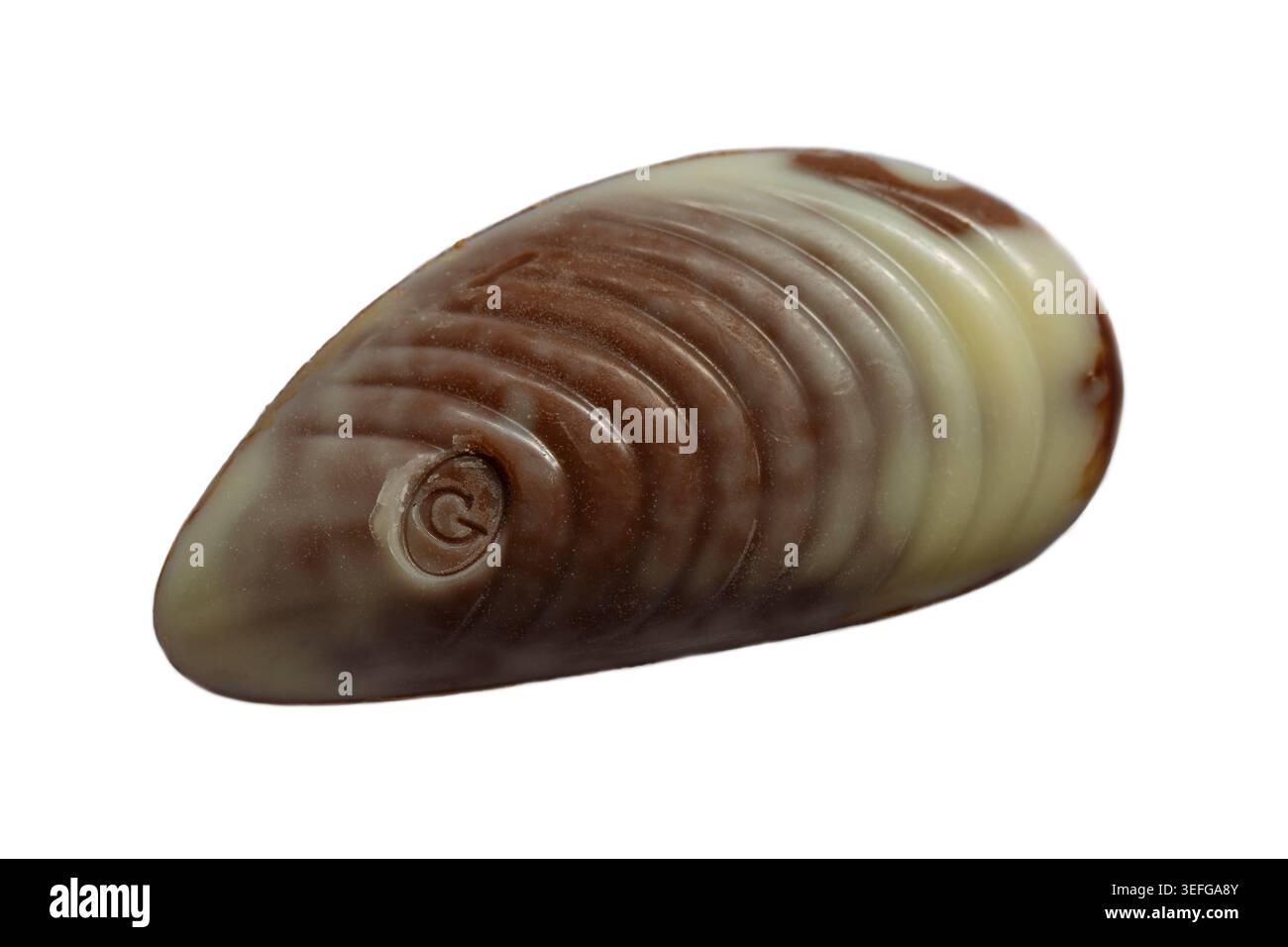 Cioccolatini belgi guiliani con conchiglie di cioccolato a conchiglia isolate su sfondo bianco - migliori cioccolatini belgi con farcitura di nocciole praline Foto Stock