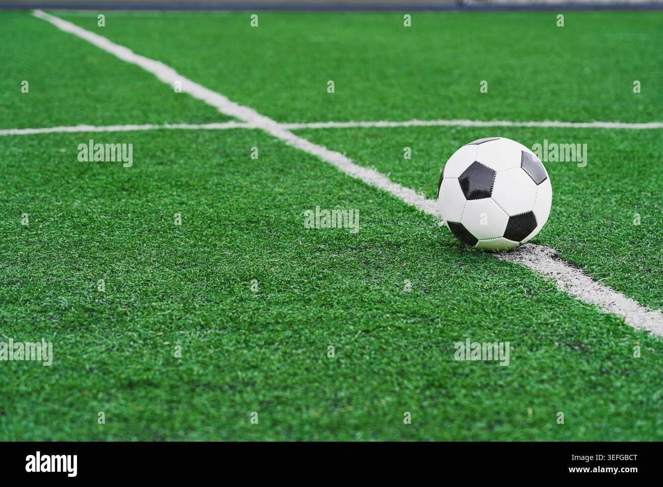 erba verde - erba ben curata nello stadio Foto Stock