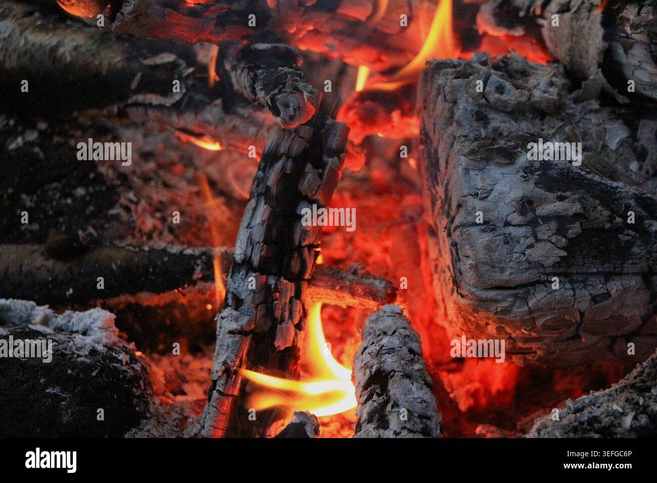 Legna da ardere e Ember brillanti da vicino Foto Stock