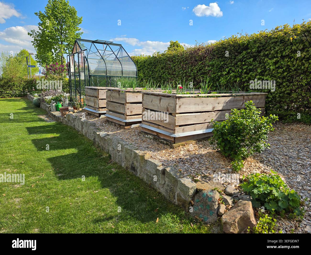 abbiamo sistemato letti rialzati e una piccola serra in un giardino sul retro ben tenuto. Il panorama soleggiato mostra aree di coltivazione vegetale organizzate borde Foto Stock