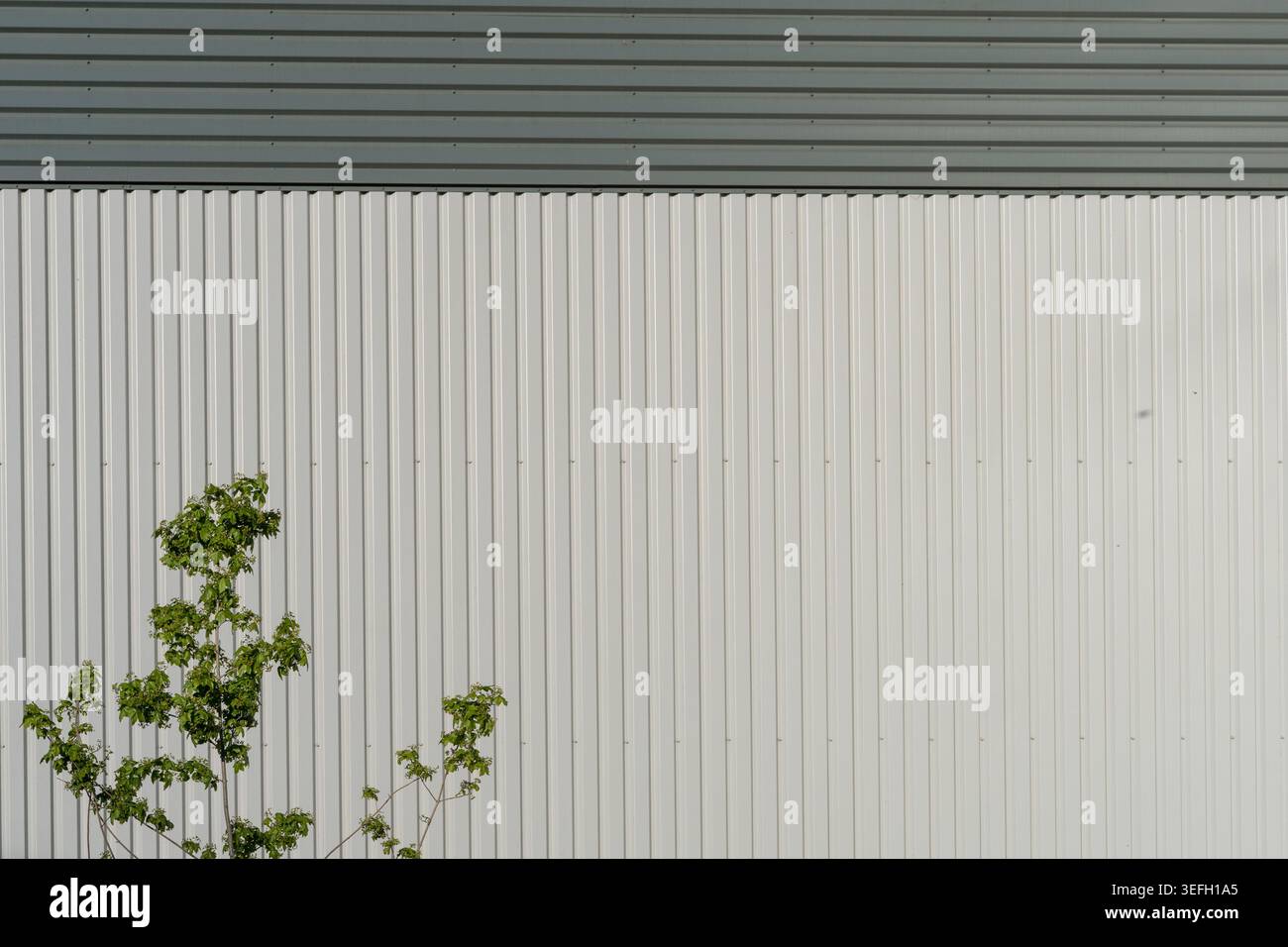 Minimale edifici grigi con un albero, Regno Unito Foto Stock