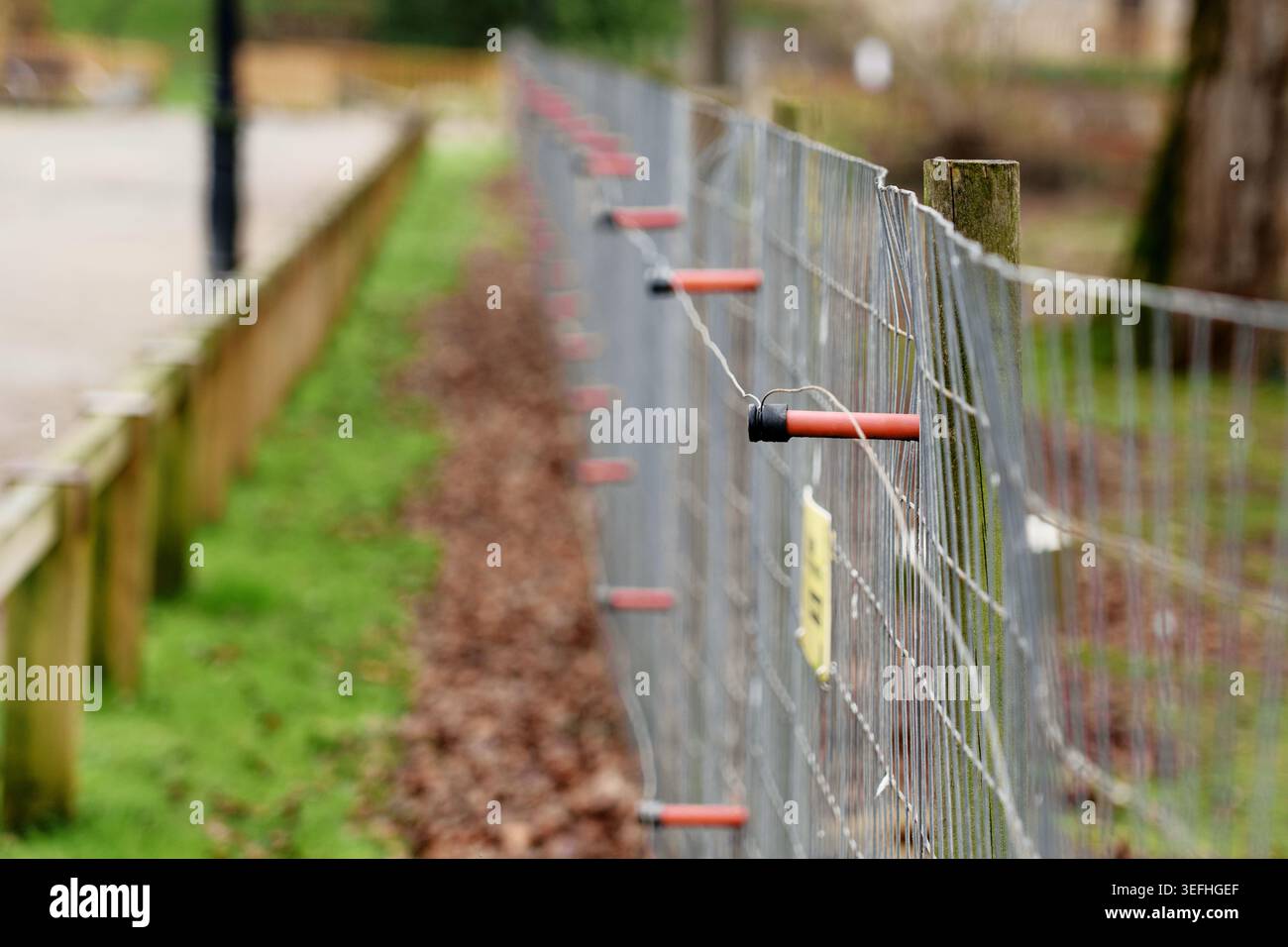 Recinzione elettrica con pali in legno e isolanti in plastica arancione nell'area del parco. Barriera di sicurezza esterna Foto Stock