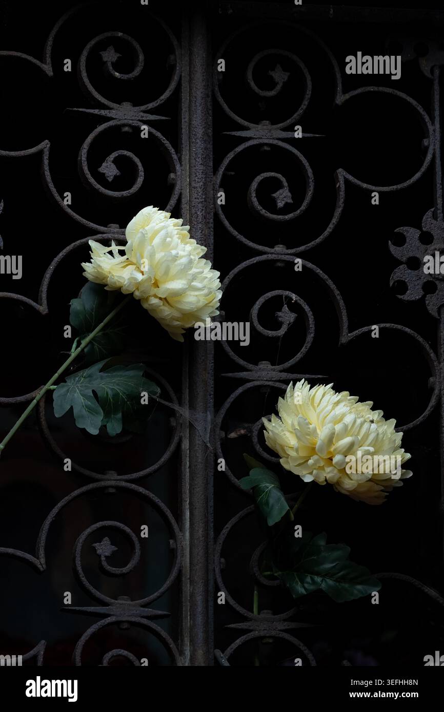 Fiori su griglia in ferro battuto alla tomba del cimitero. Foto Stock