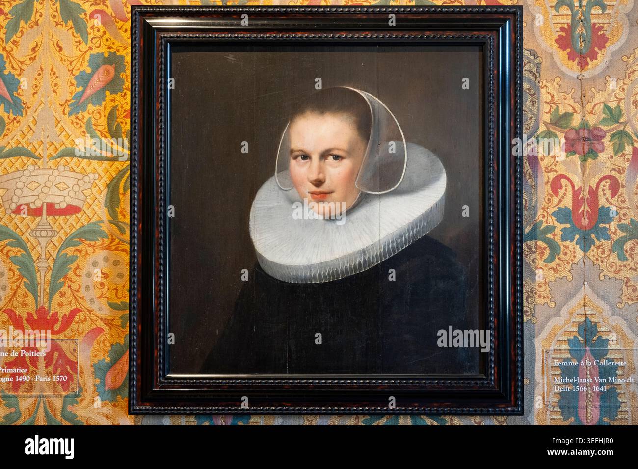 Dipinto "donna in un fronzolo" di Michiel Jansz. Van Mierevelt al Chateau de Chenonceau Foto Stock