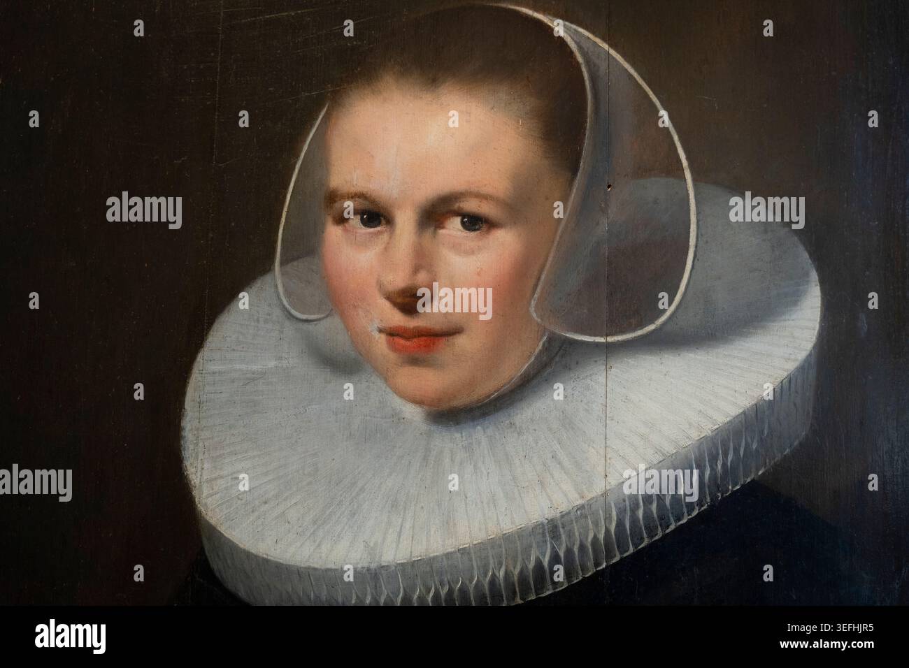 Dipinto "donna in un fronzolo" di Michiel Jansz. Van Mierevelt al Chateau de Chenonceau Foto Stock