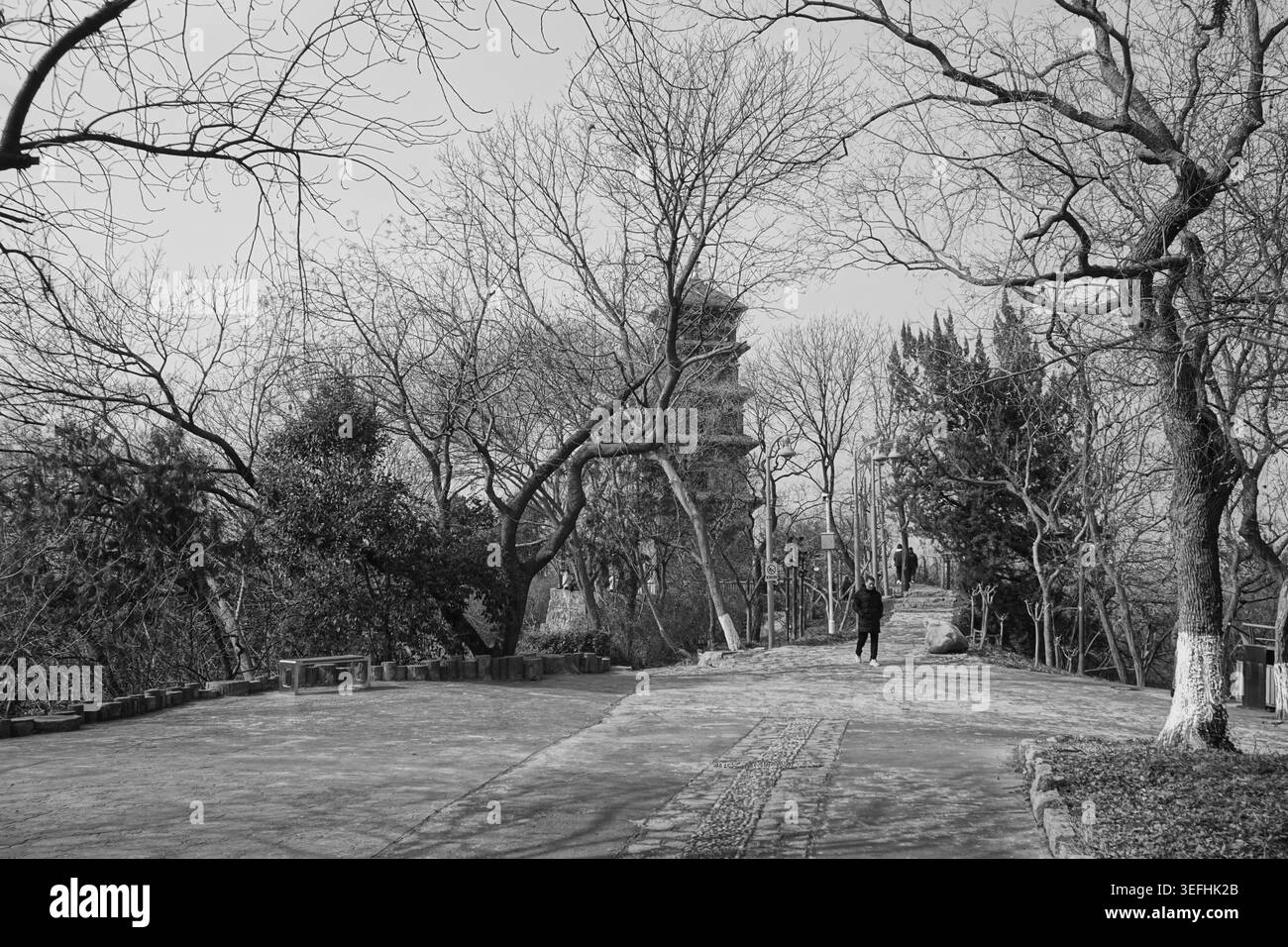 Nanjing (Jiangsu), Cina: Pagoda Sanzang nel Parco del Monte Jiuhua intorno all'area panoramica del Lago Xuanwu Foto Stock