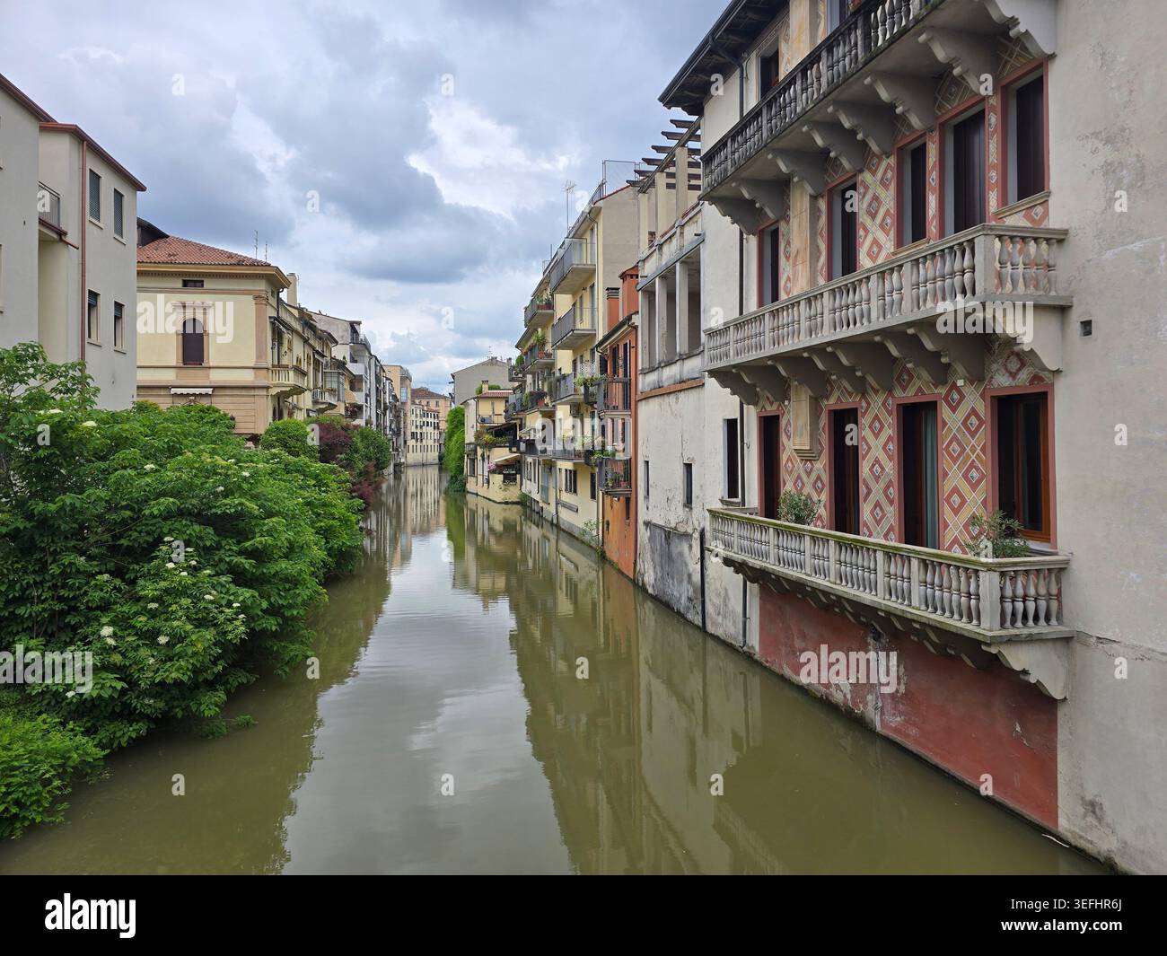 Edifici storici con balconi che costeggiano un tranquillo canale urbano con alberi verdi, Padova, Veneto, Italia - Immagine stock catturata con smartphone