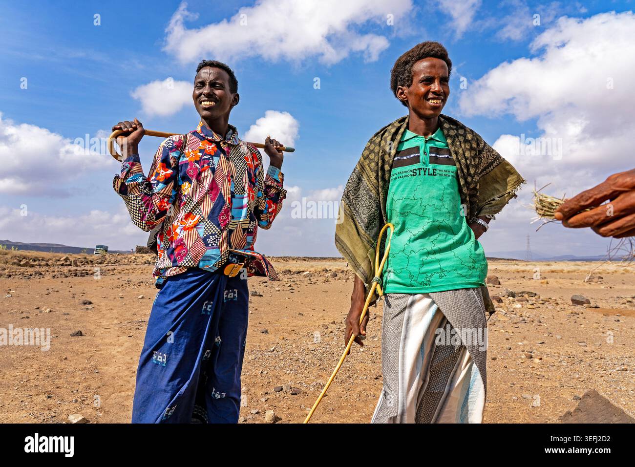 Incontro dei cammelli sulla strada fuori dalla città di Gibuti - tradizionale allevamento di bestiame nel Corno d'Africa Foto Stock