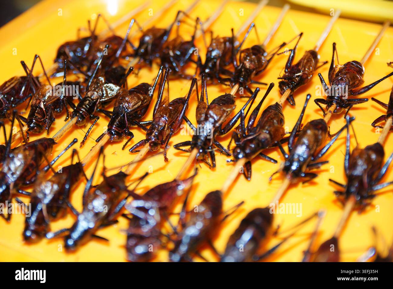 Cavallette fritte servite su spiedini di bambù in un popolare mercato notturno di Pechino. Questi insetti croccanti e ricchi di proteine sono un famoso spuntino esotico Foto Stock