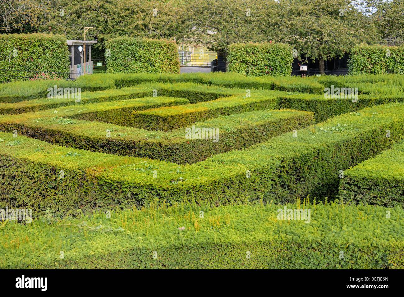 Castello di Leeds, vicino a Maidstone, Kent, Regno Unito. Il labirinto con una grotta sotterranea accessibile dal centro. Foto Stock