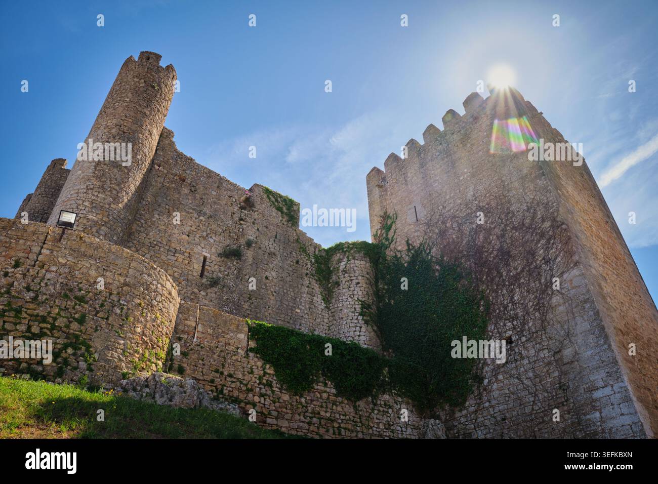 Vista dal basso angolo del castello di Obidos a Obidos, Portogallo, con enormi torri in pietra, pareti coperte di edera e bagliore del sole sopra le merlature. Foto Stock