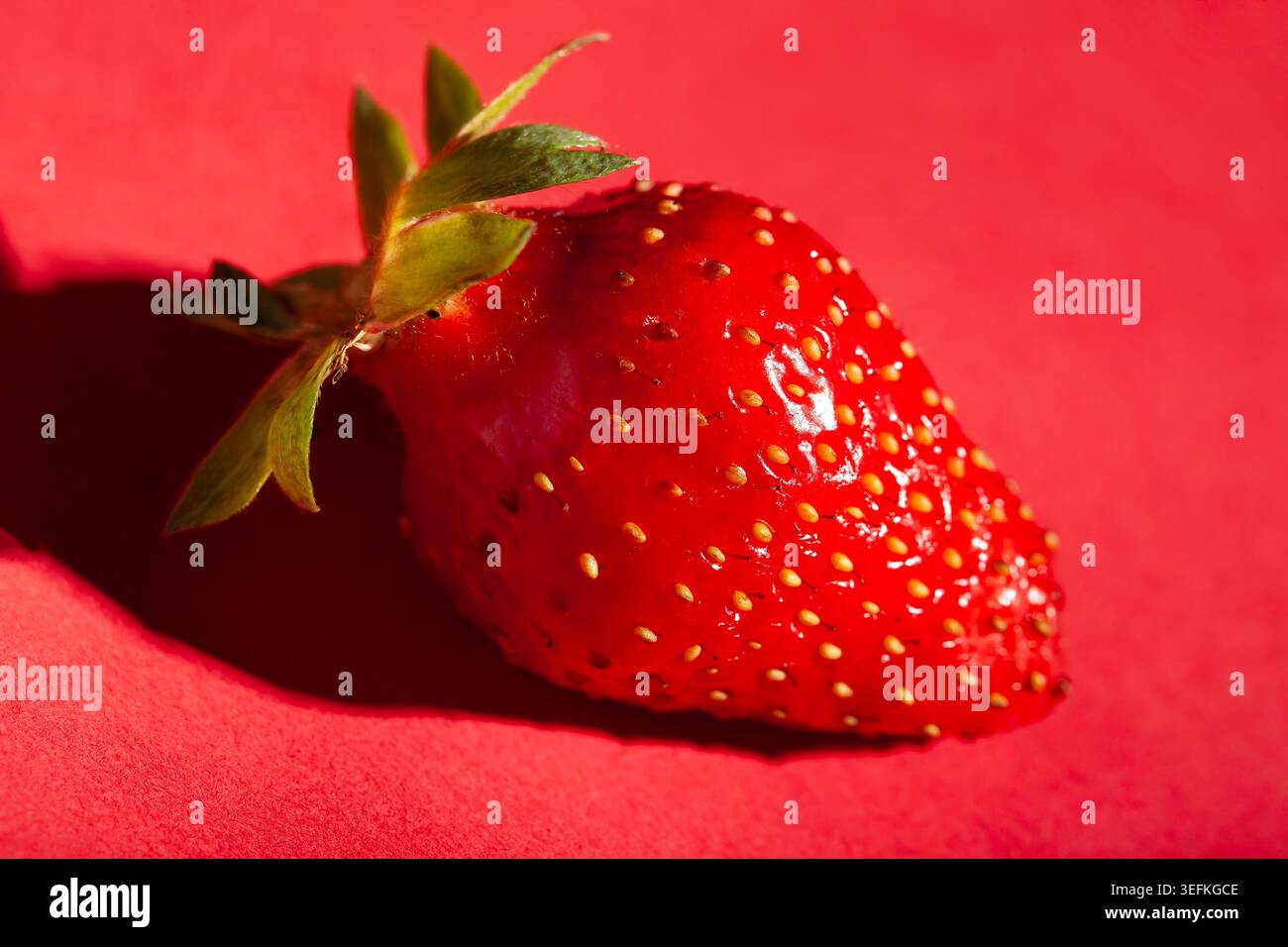 una fragola su sfondo rosso Foto Stock