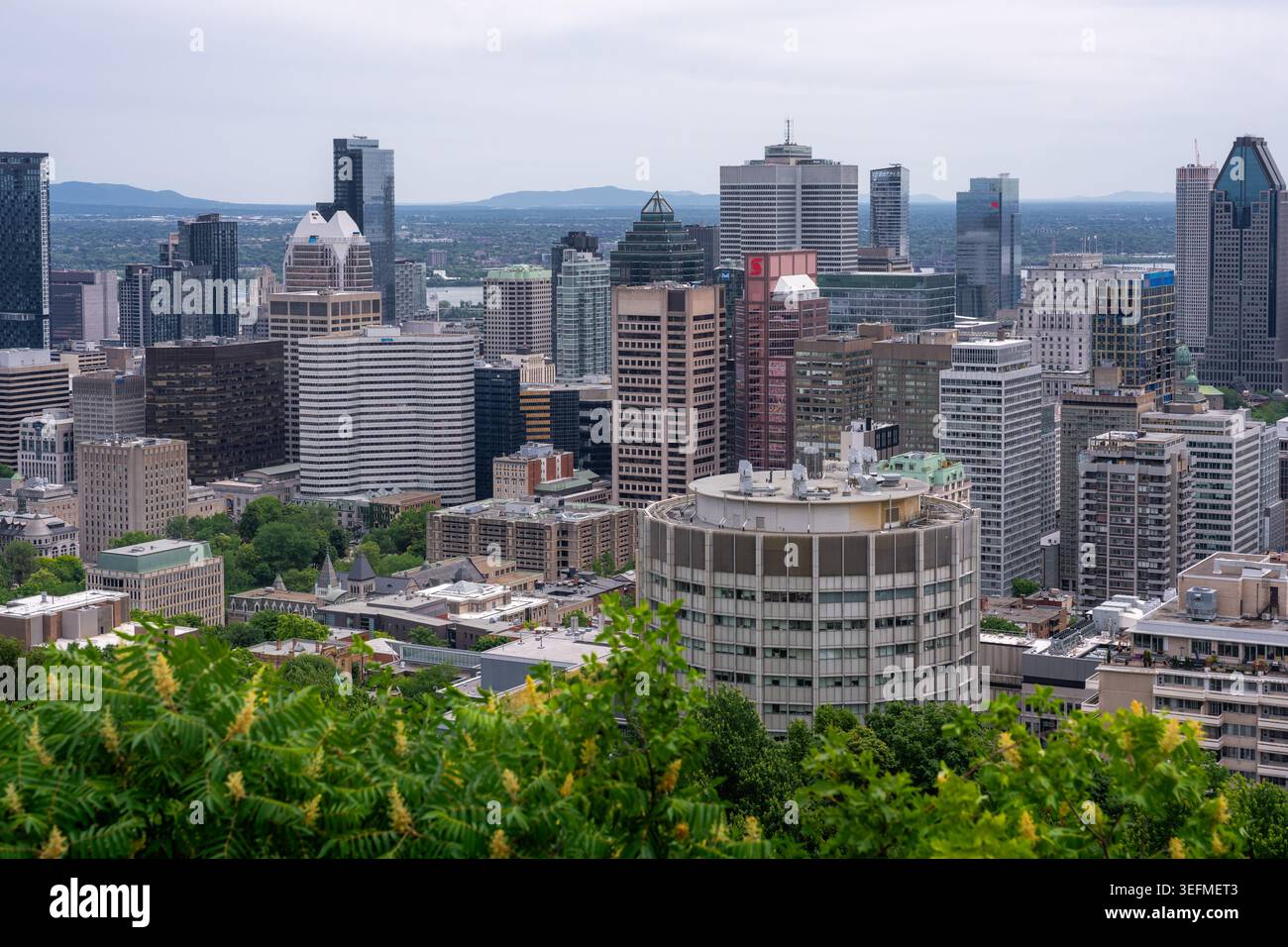 Vista dello skyline del centro di Montreal dal Mount Royal - Montreal, Quebec, Canada Foto Stock